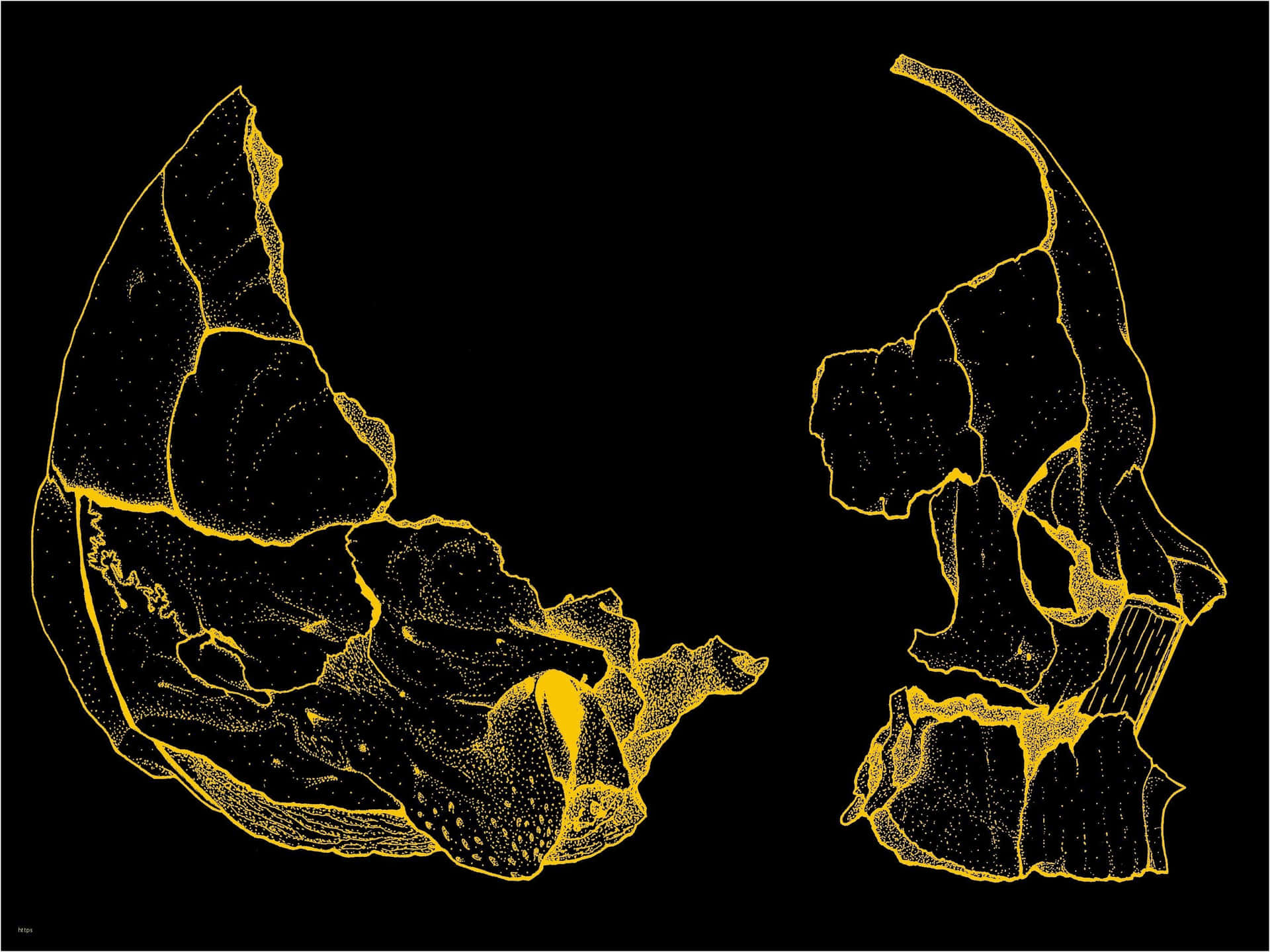 Gold And Black Skull Tumblr Laptop Background