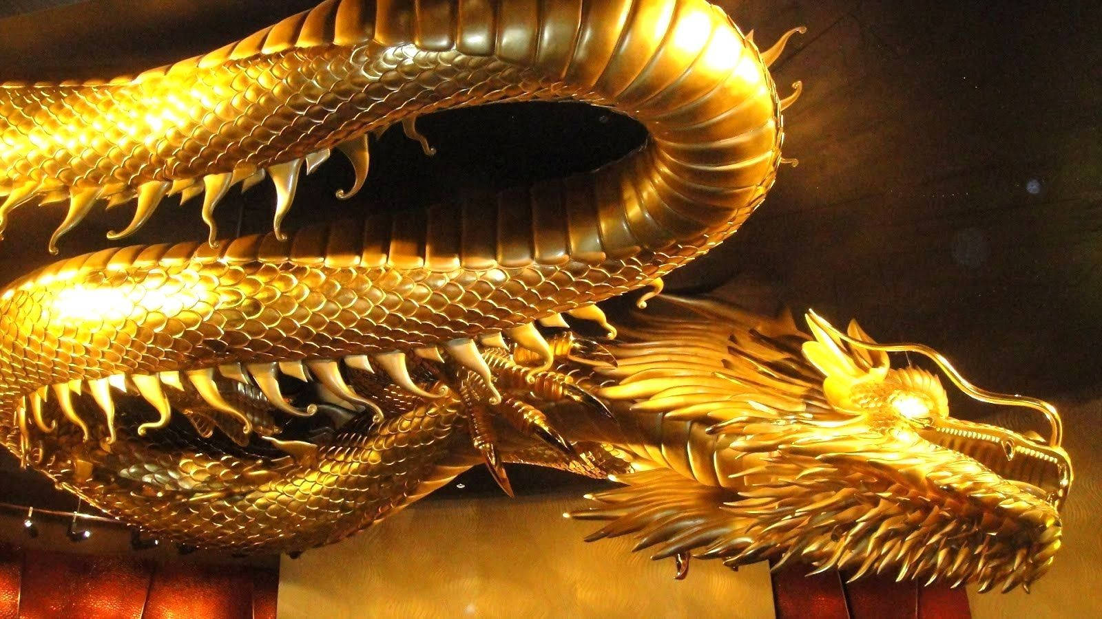 Gold Dragon Curve