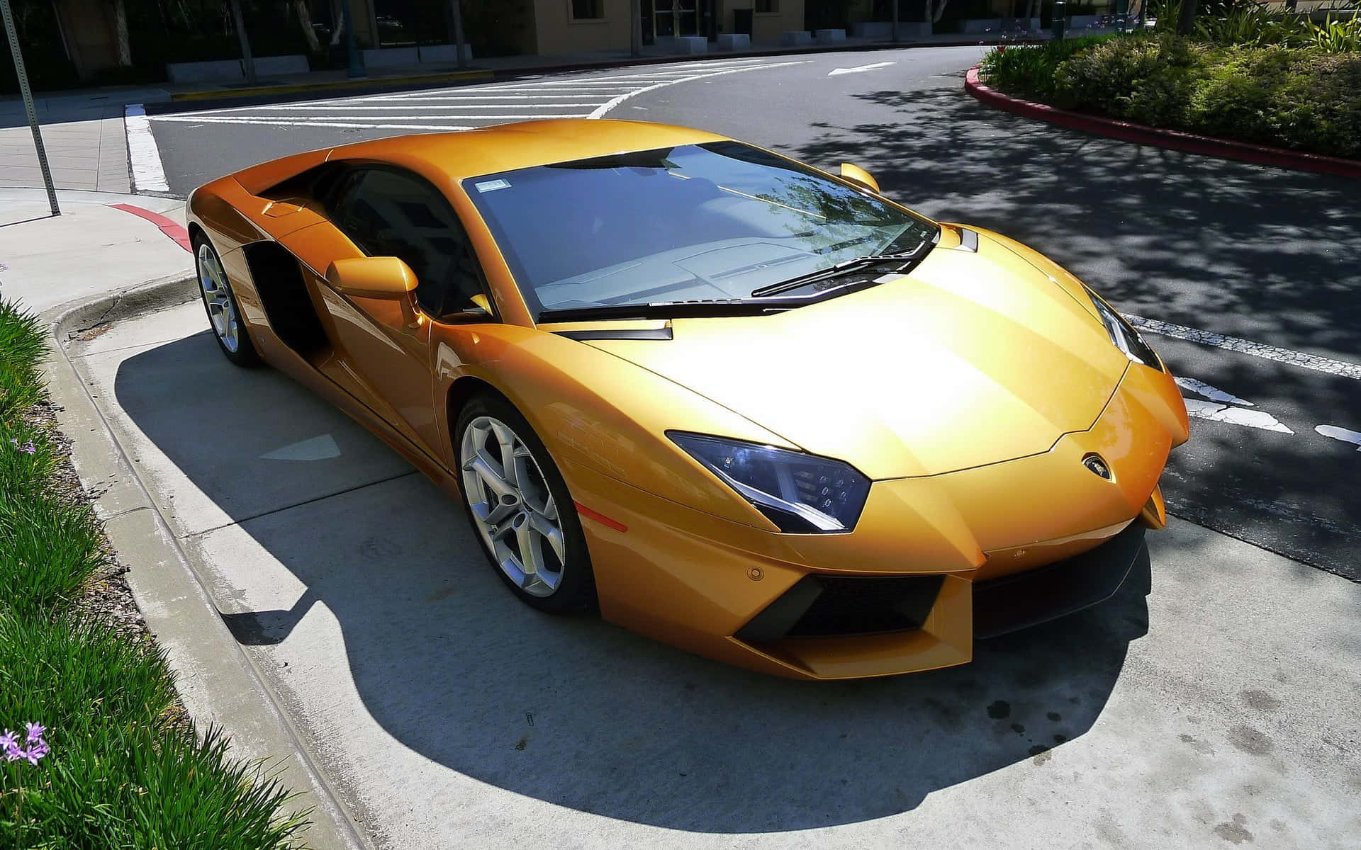 Gold Lamborghini, The King Of Luxury.
