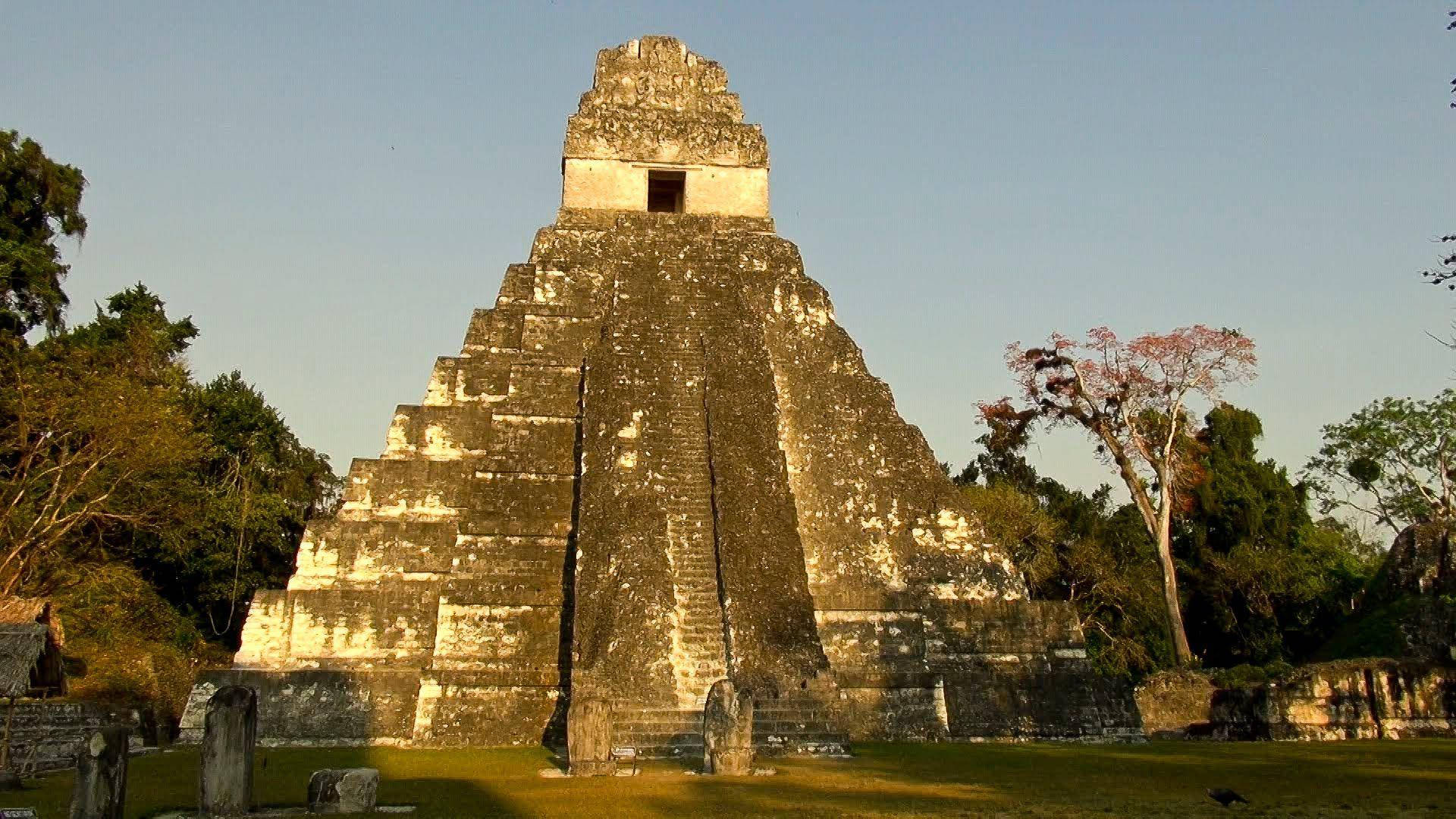 Gold Light On Tikal Background