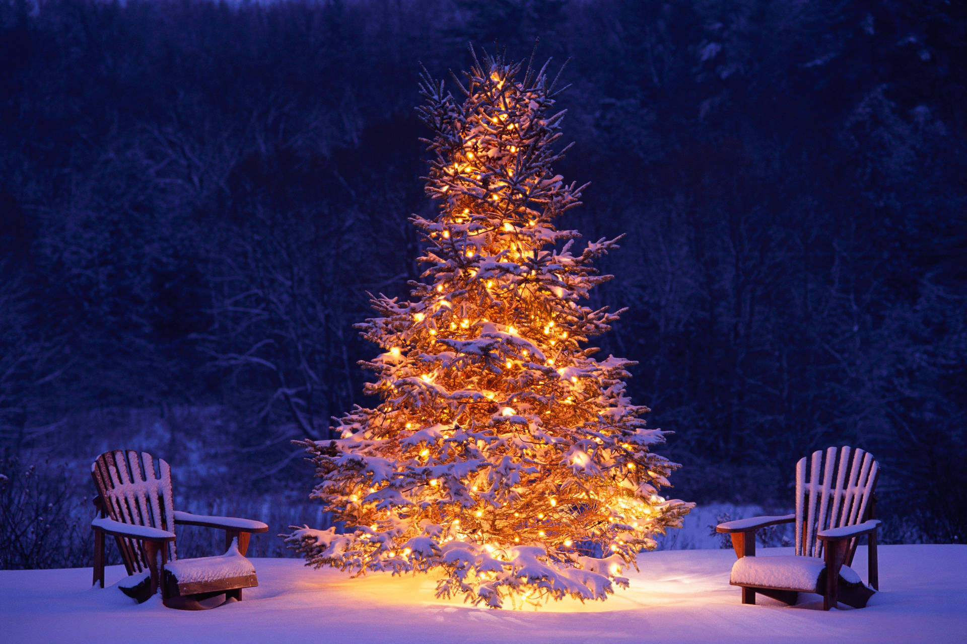 Gold Snowy Christmas Tree Outside Background