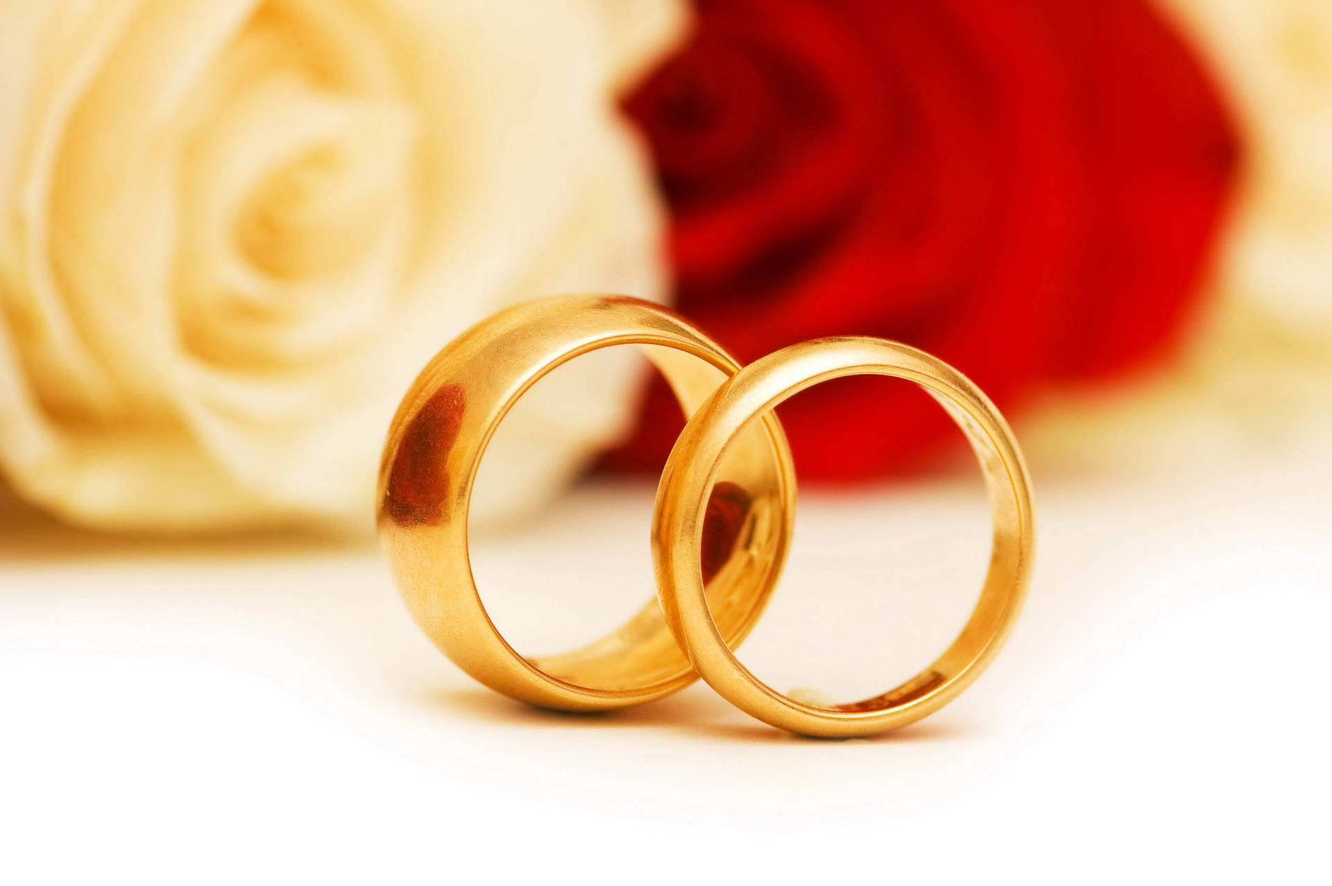 Gold Wedding Rings And Roses Background