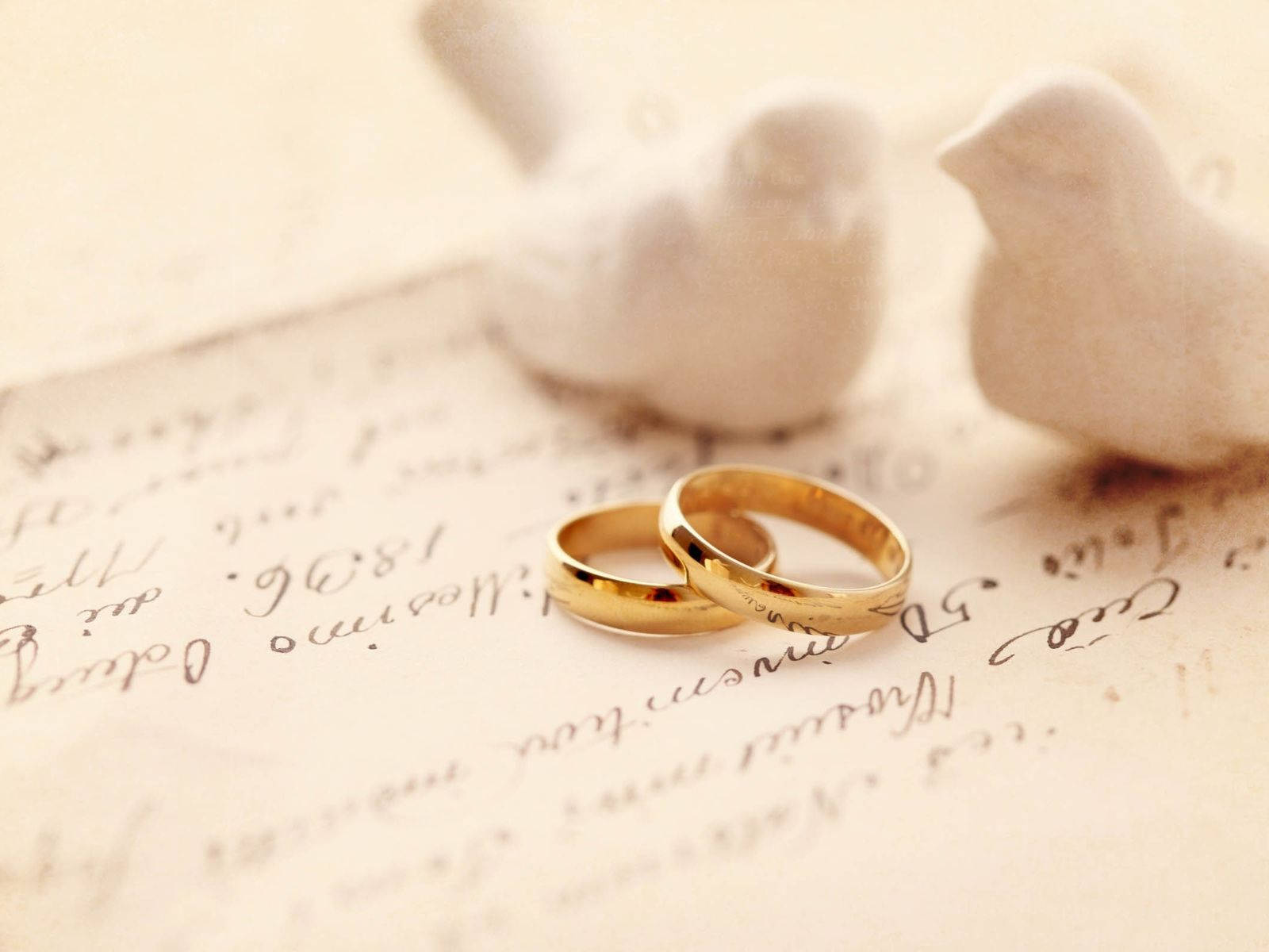 Gold Wedding Rings And White Doves Background