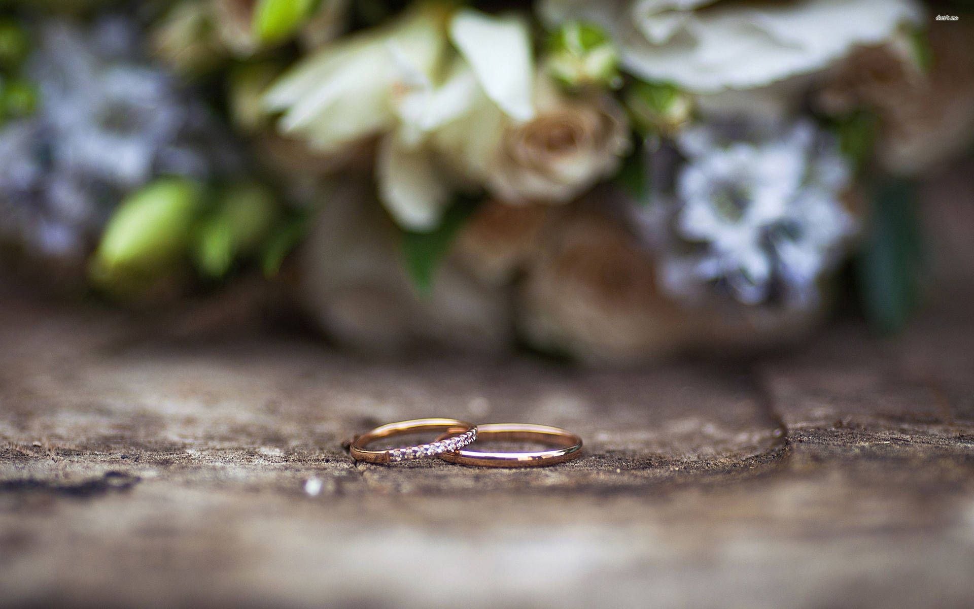 Gold Wedding Rings In Garden Background
