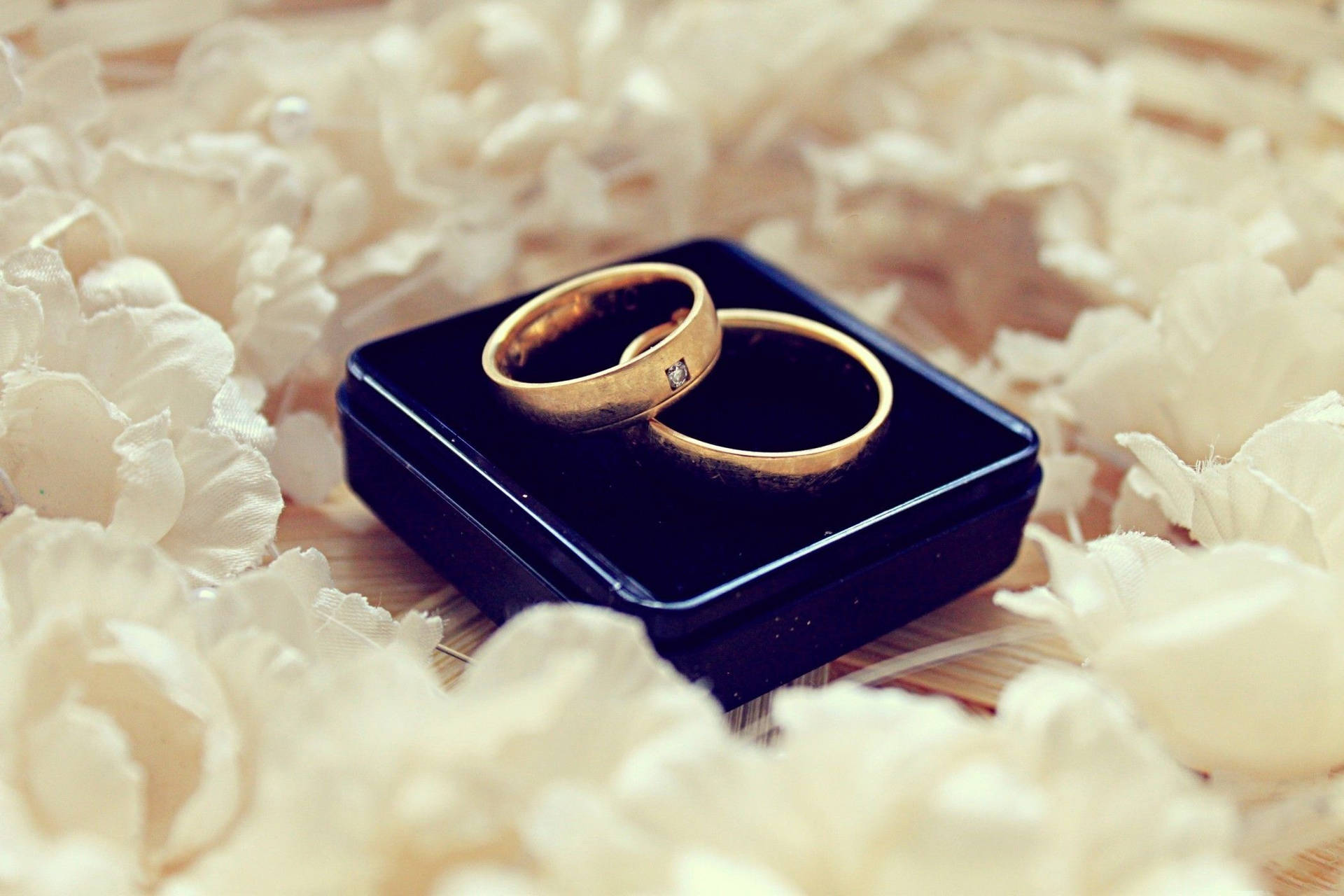 Gold Wedding Rings On Blue Box Background