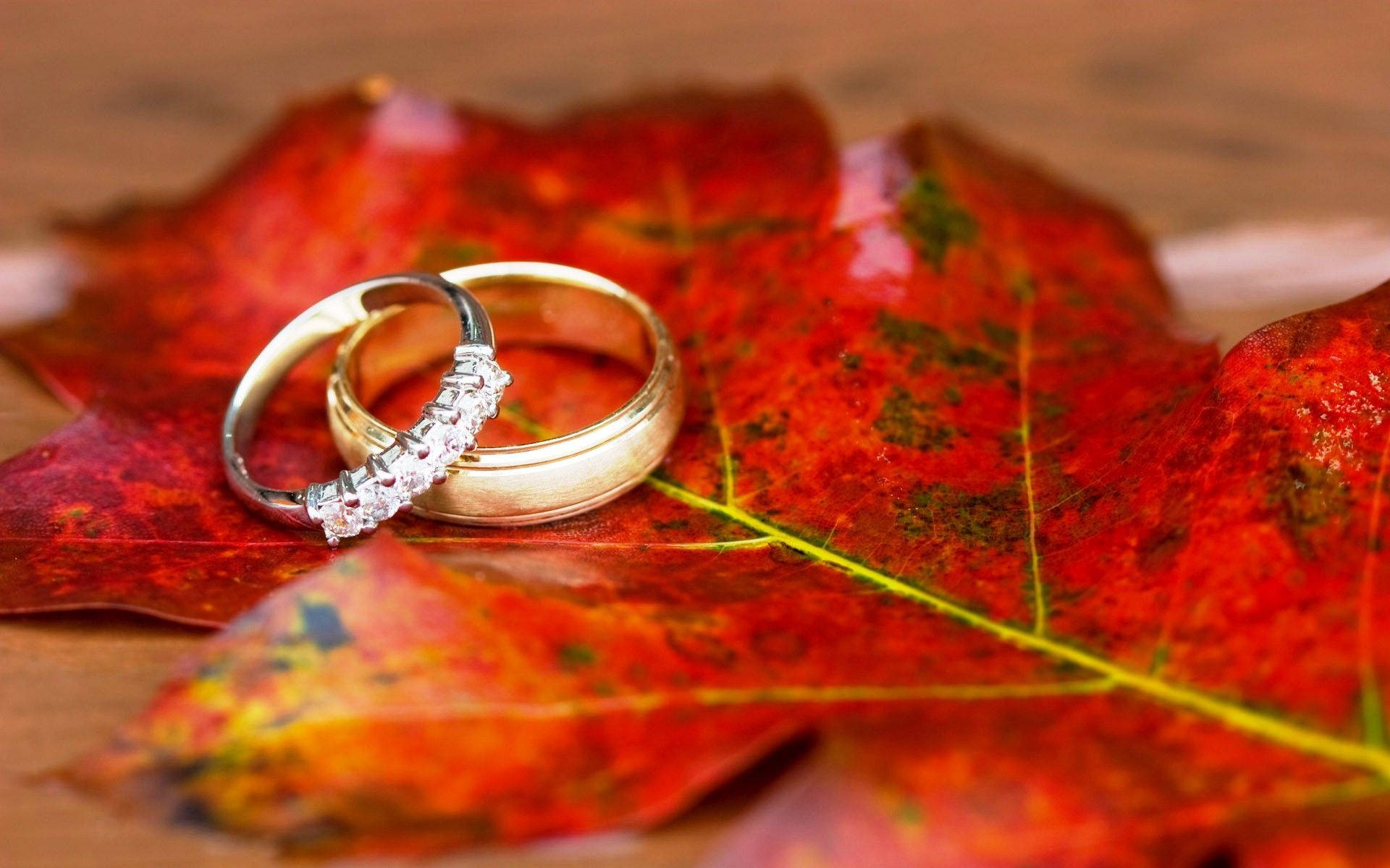 Gold Wedding Rings On Red Leaf Background