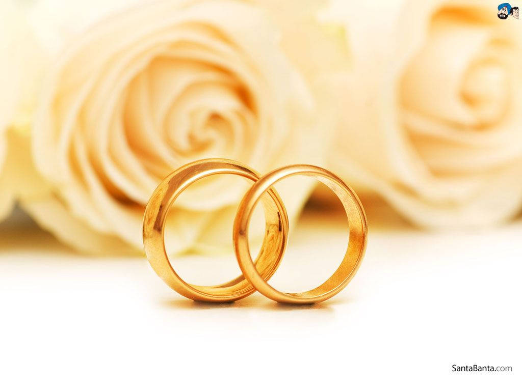 Gold Wedding Rings Yellow Flowers Background