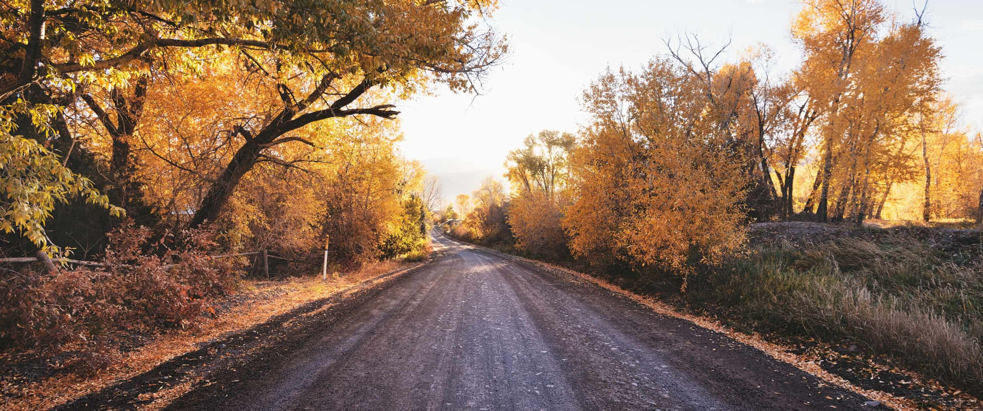 Golden Autumn Road Background
