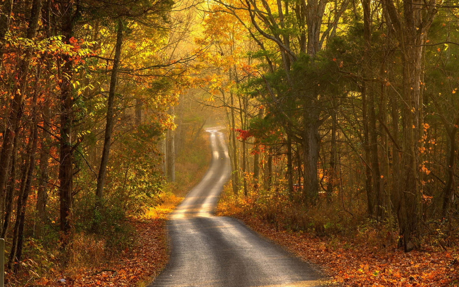 Golden Autumn Road Background