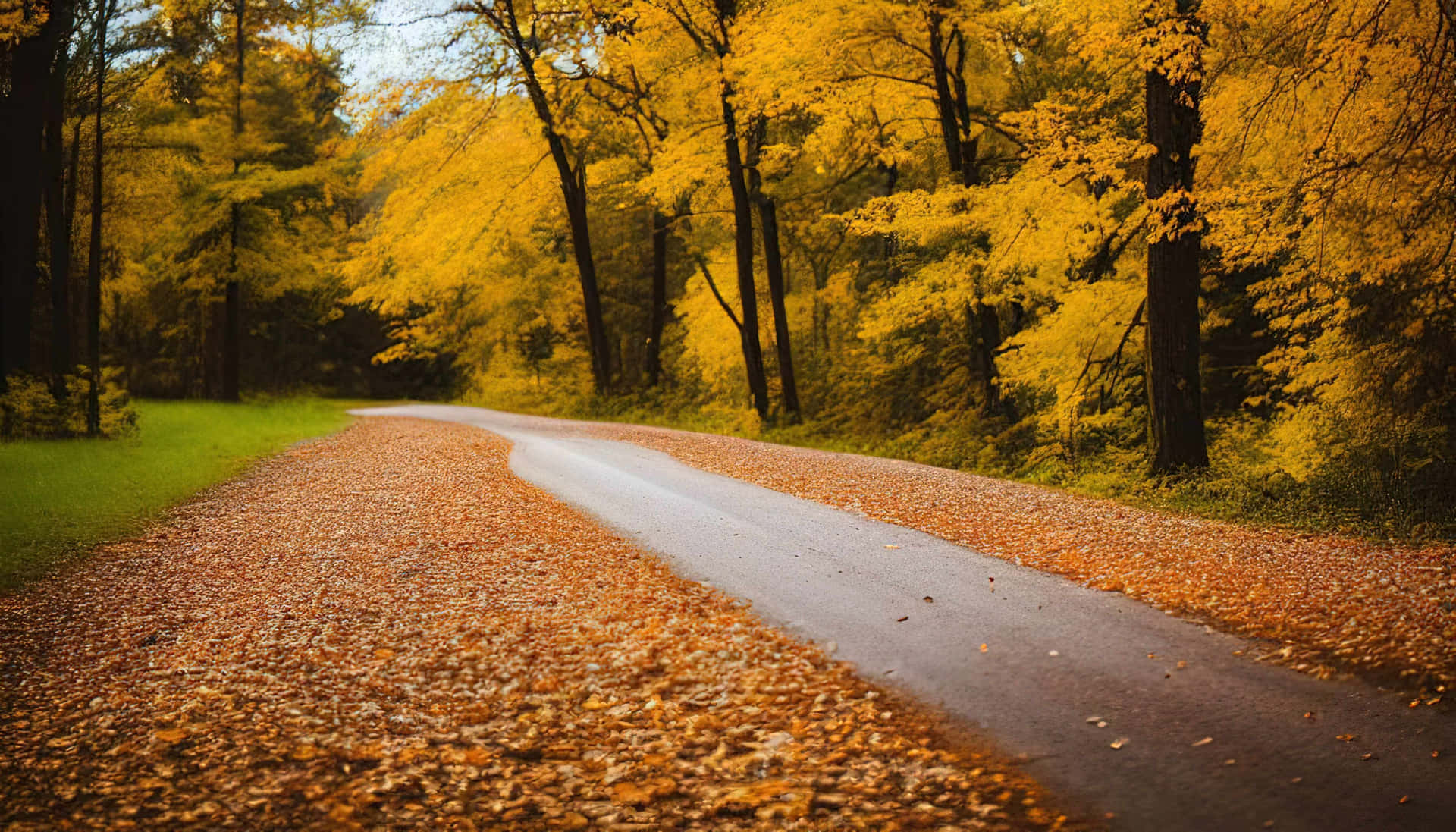 Golden Autumn Roadway.jpg Background