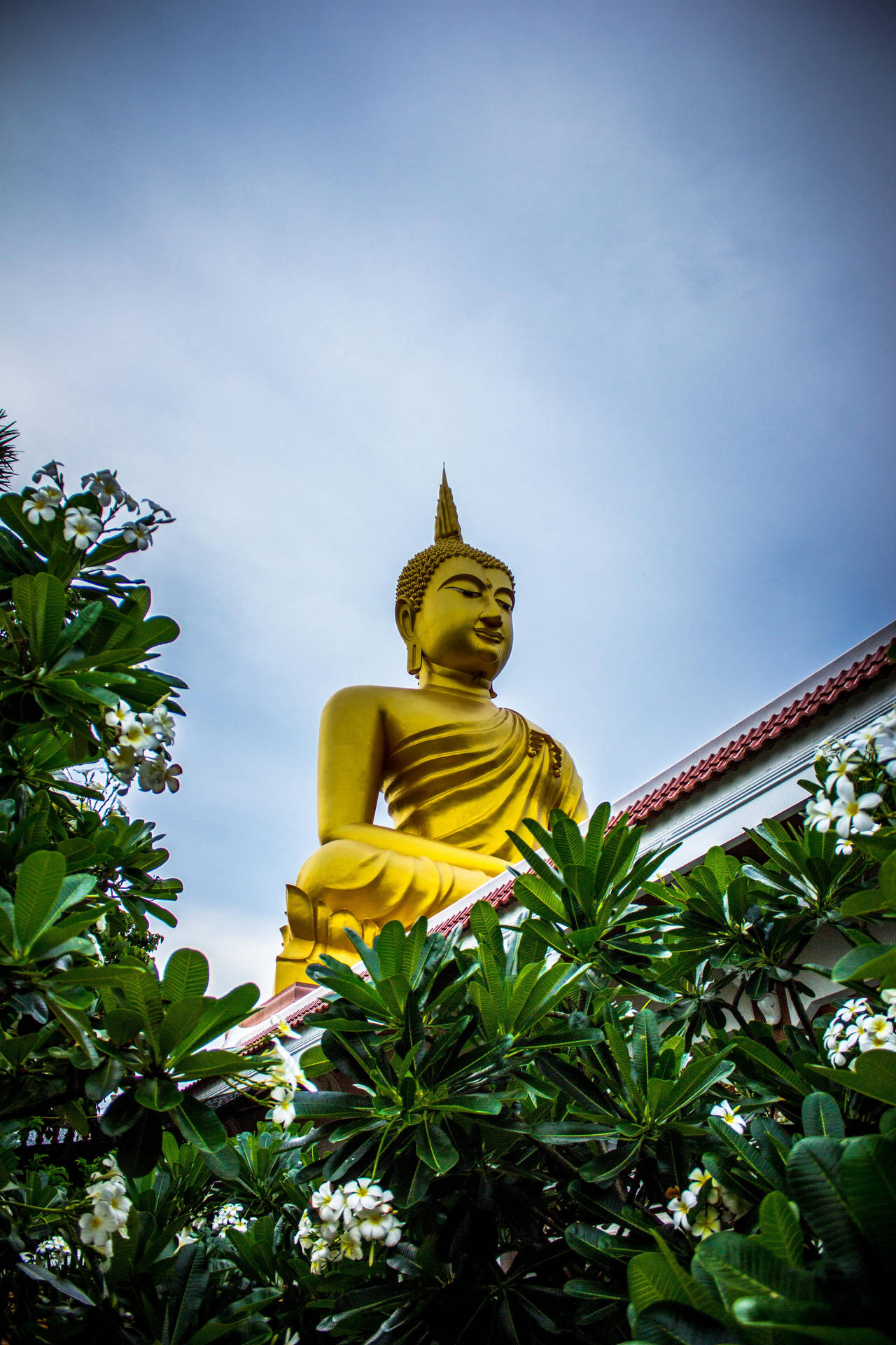 Golden Buddha Behind Leaves Background