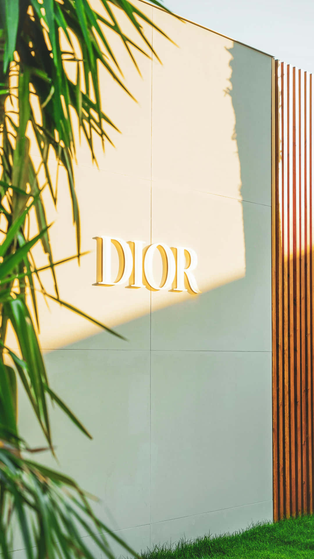 Golden Dior Signage Sunlit Wall Background