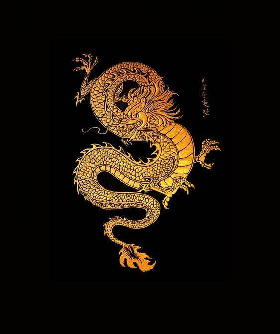Golden Dragon Chinese Vector Art Background