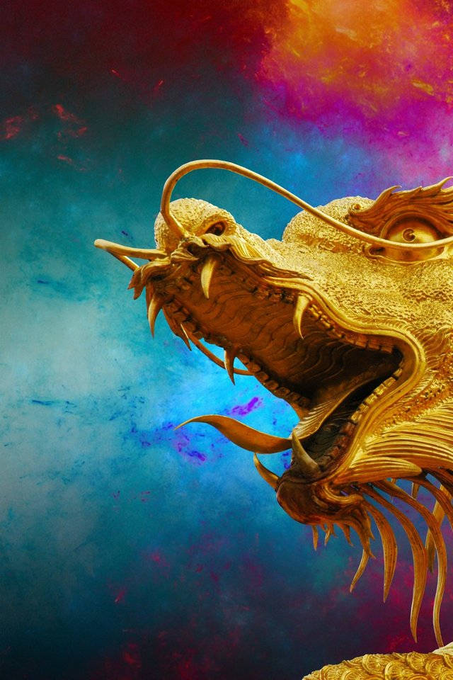 Golden Dragon Colorful Background