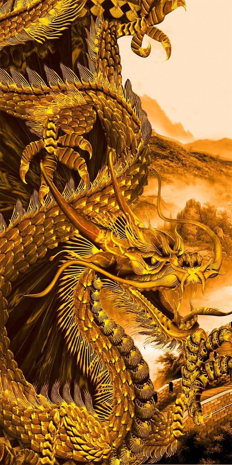 Golden Dragon Sketch Background