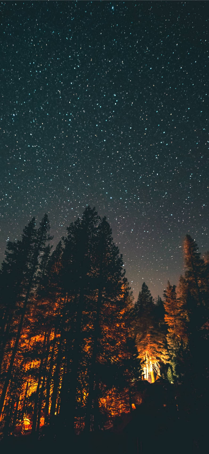 Golden Forest Starry Sky Background