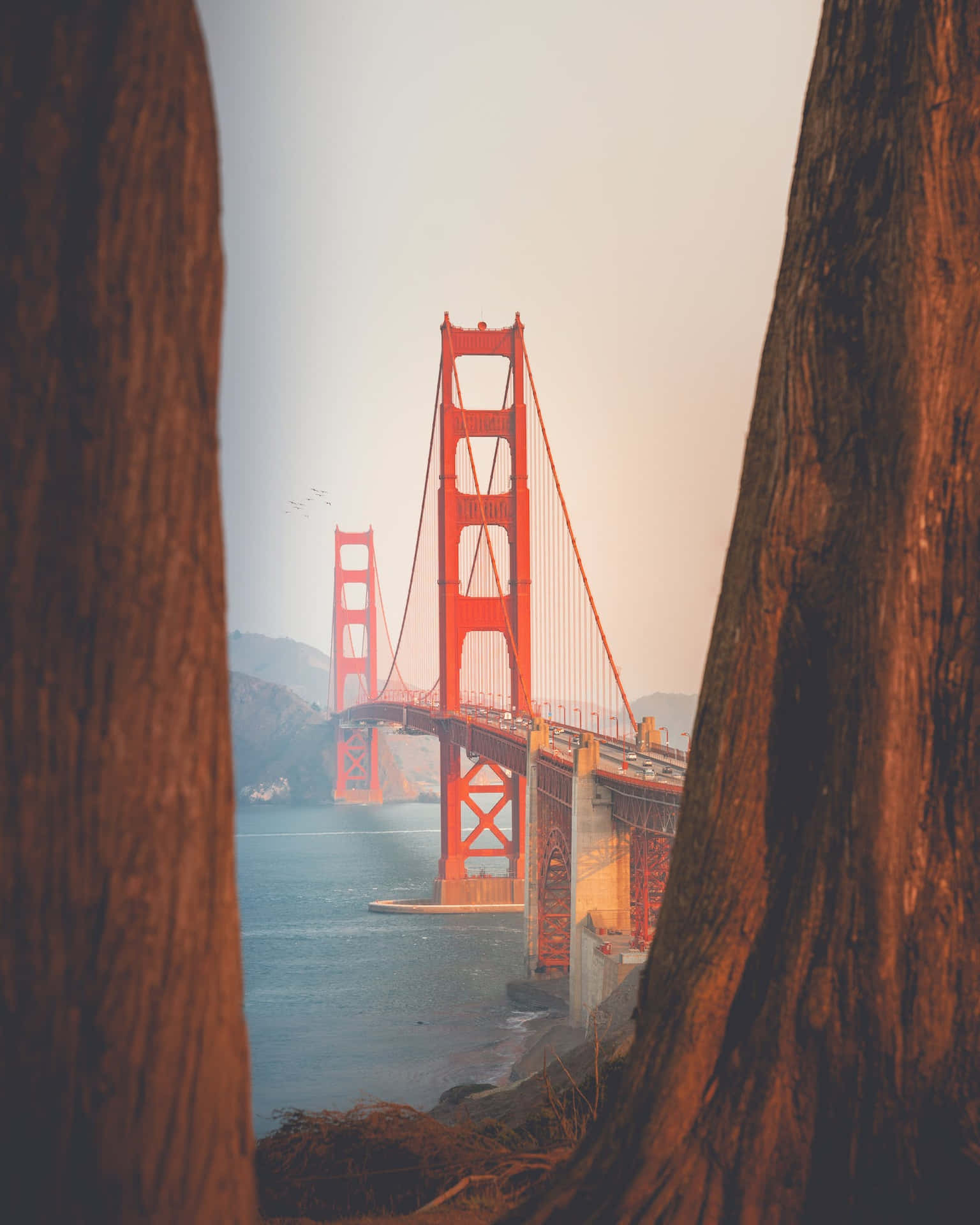 Golden Gate Bridge Perspective In San Francisco Fog Background