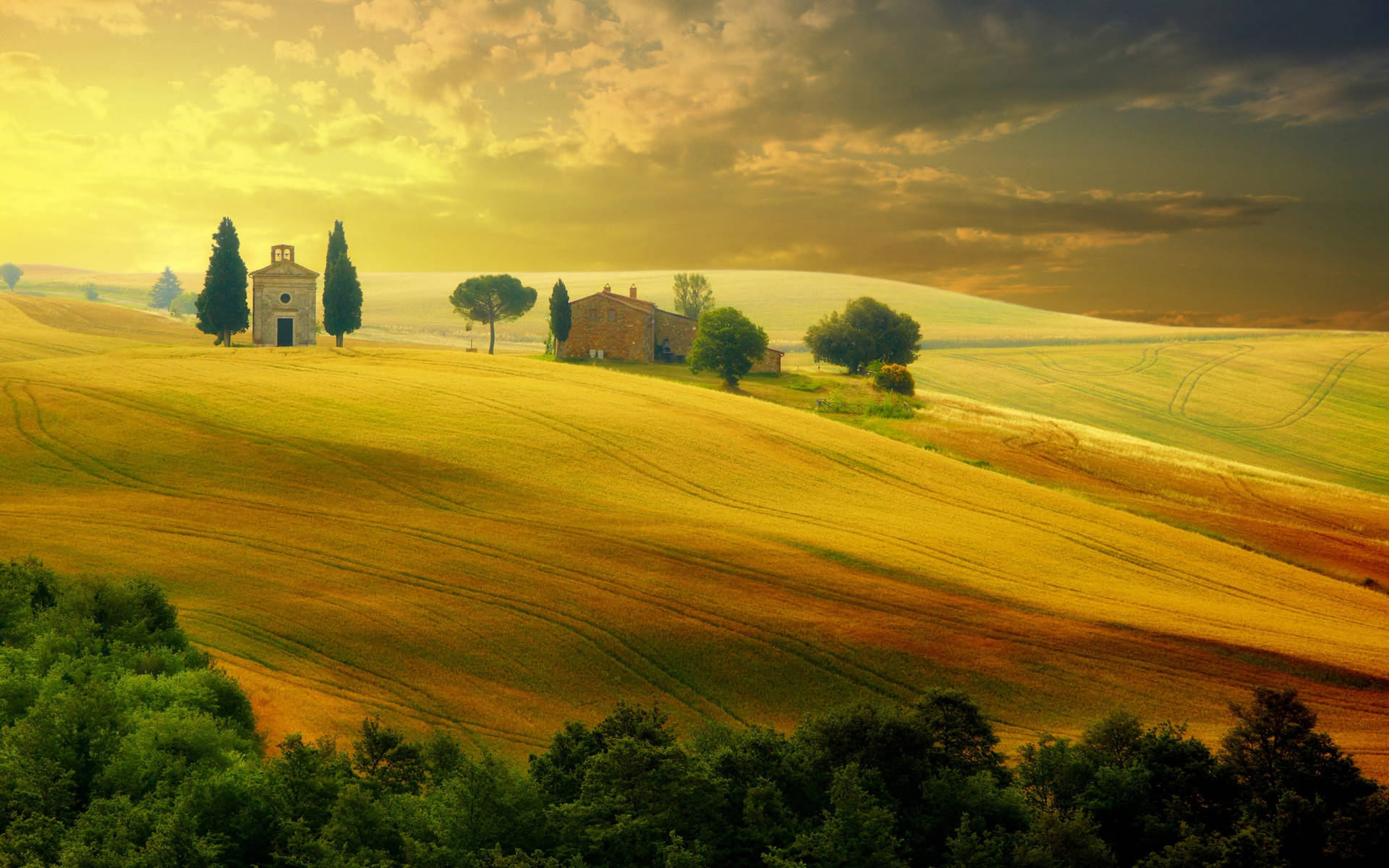 Golden Hills In Tuscany Italy Background