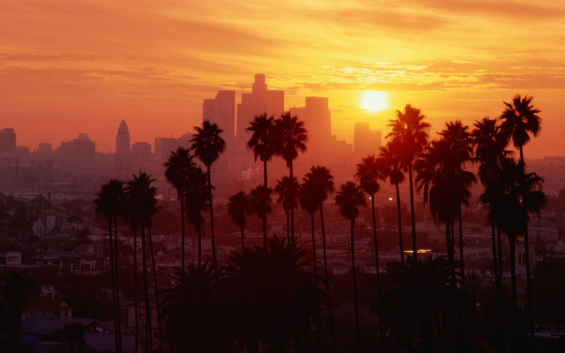 Golden Los Angeles Sunset