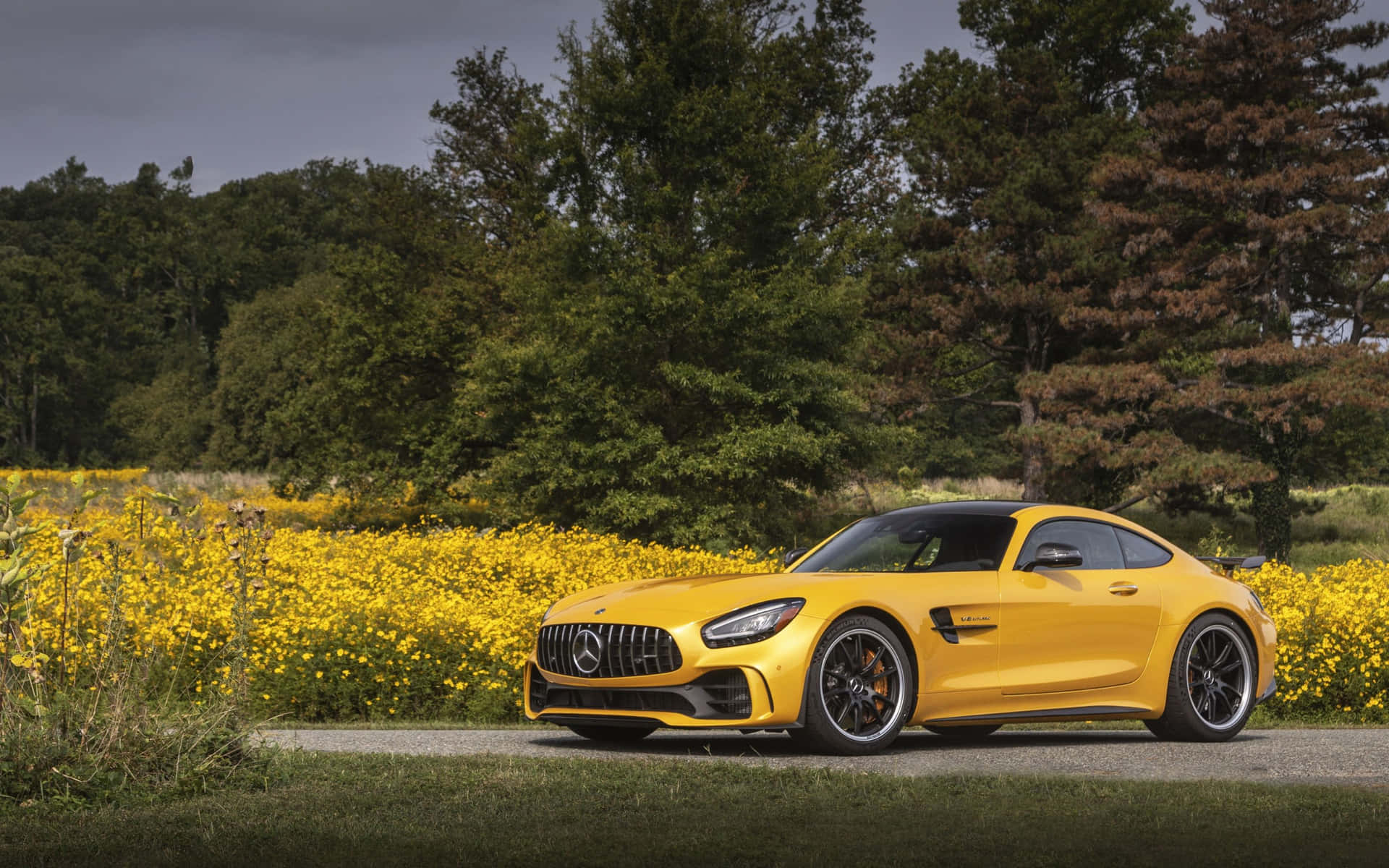 Golden Mercedes Amg Gt