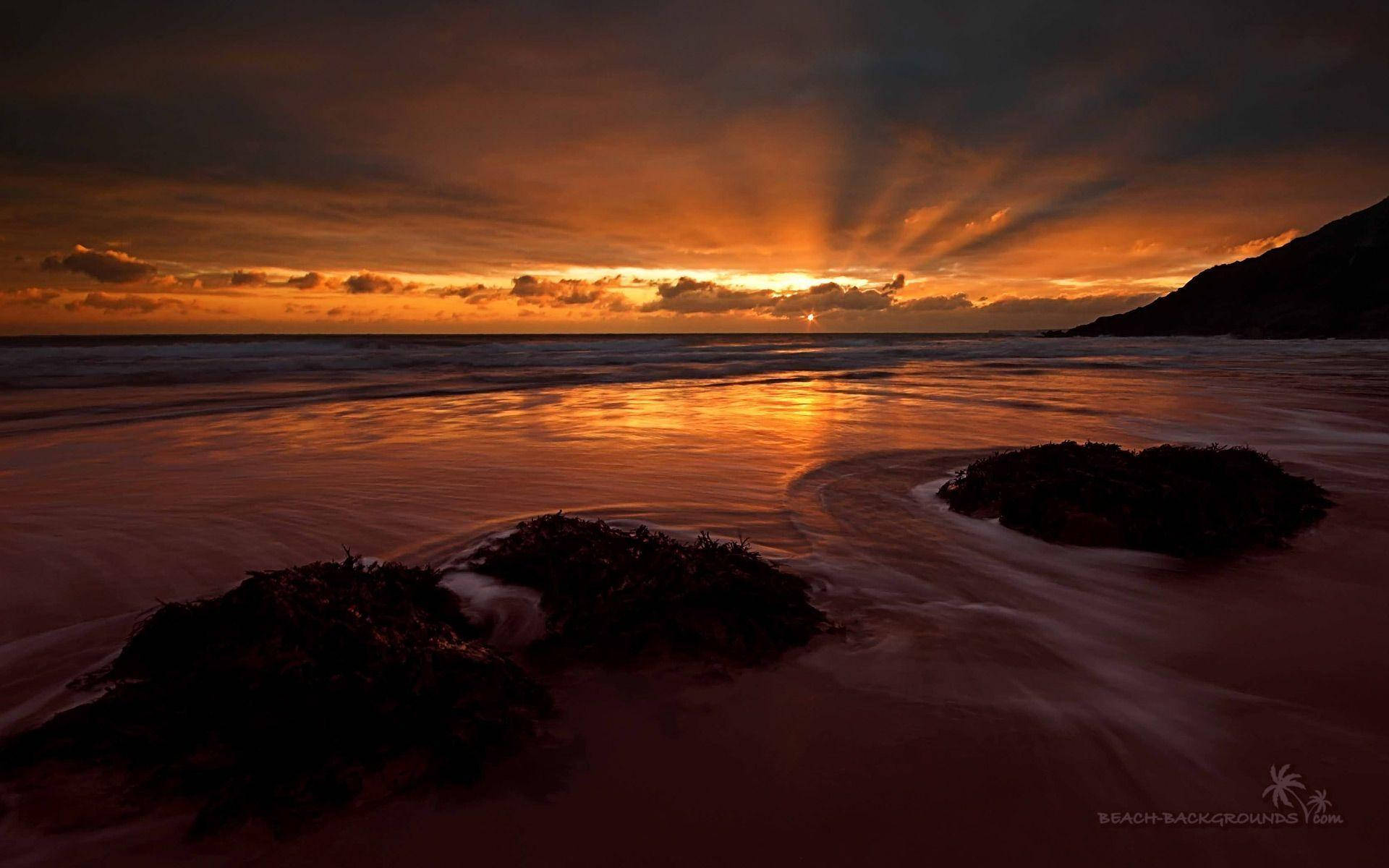 Golden Ocean Sunset Beach Background
