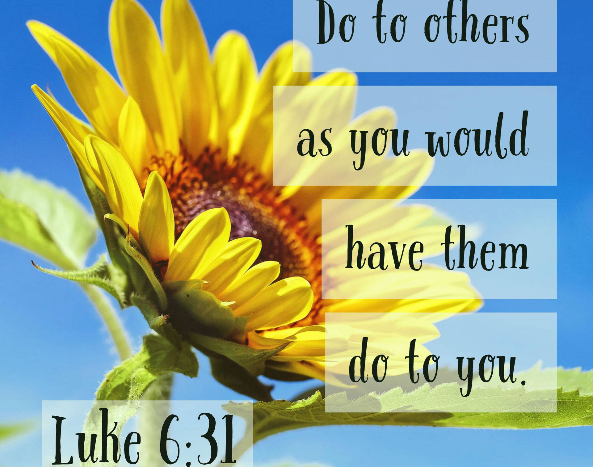 Golden Rule Bible Quote Background