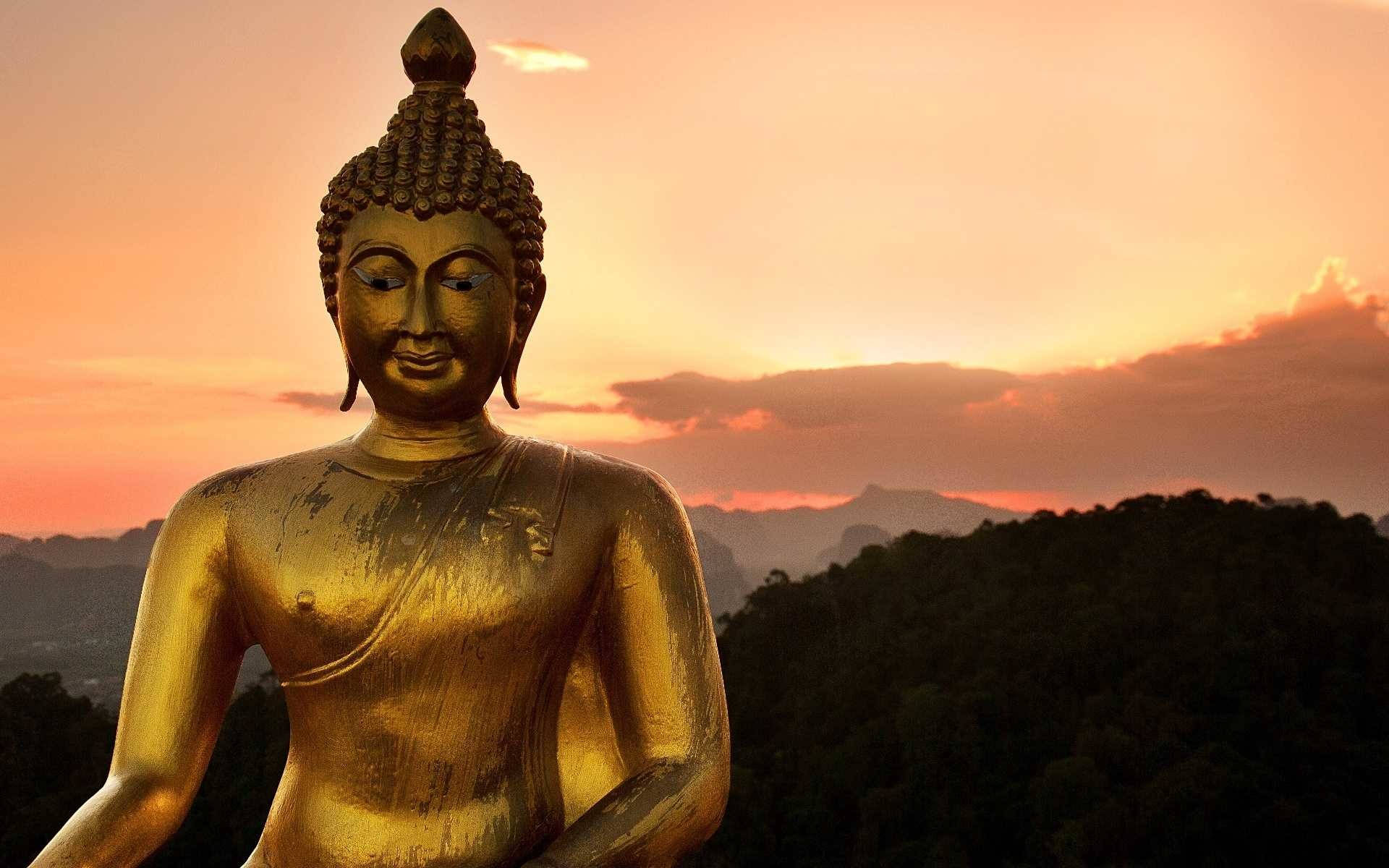 Golden Statue Of Buddha Hd Background