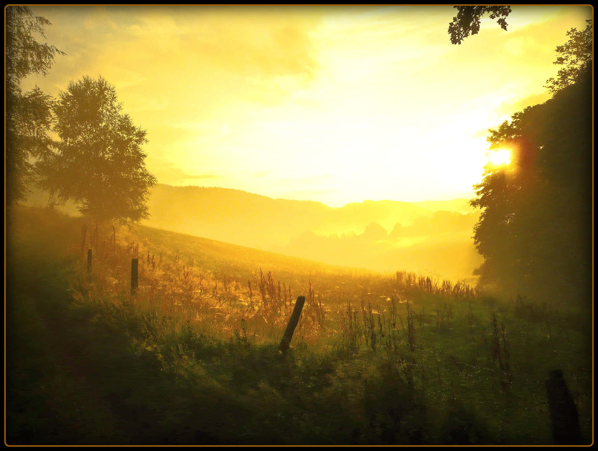 Golden Sunrise Over Misty Fields.jpg Background