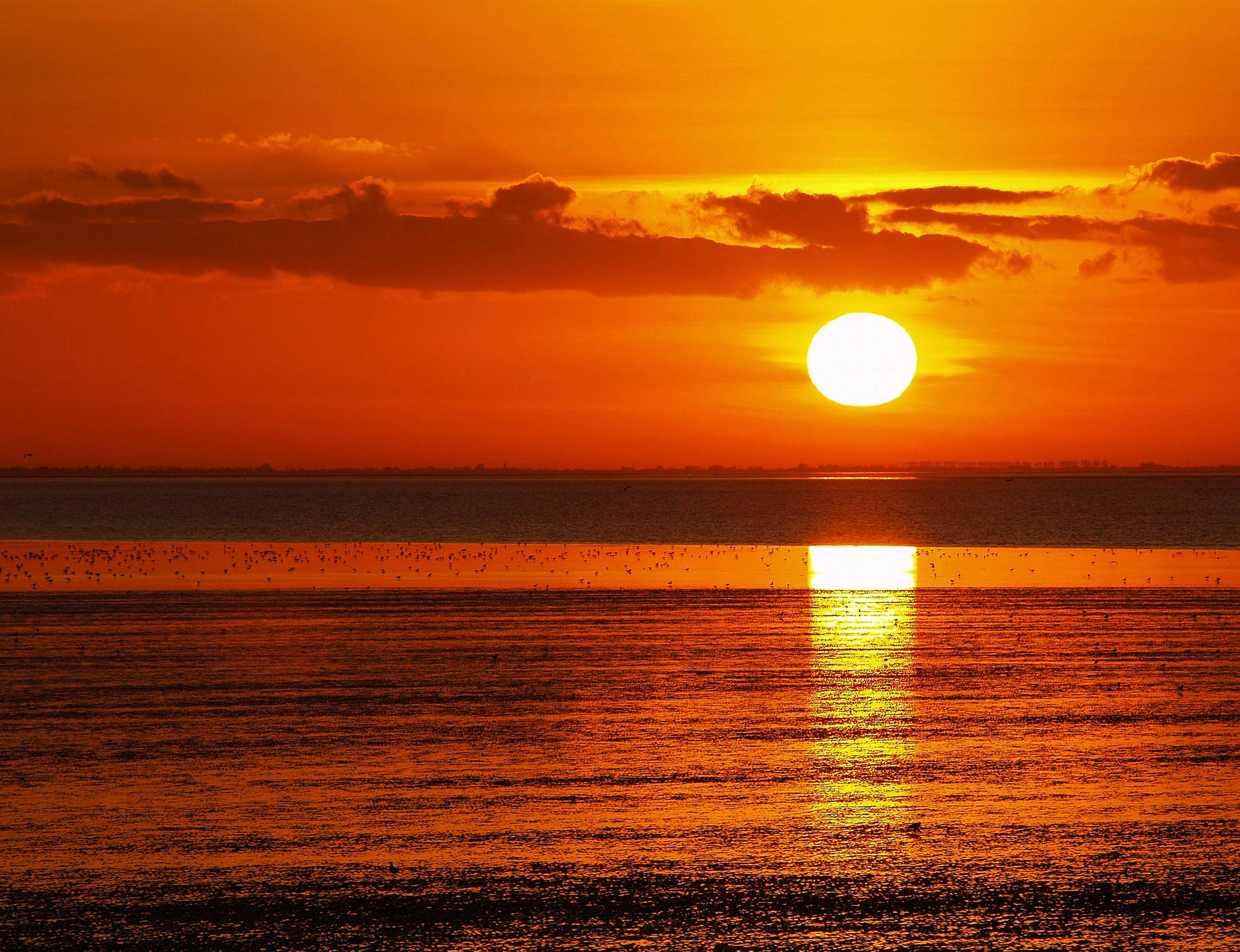 Golden Sunrise Scenery At The Beach In Norfolk, Virginia Background