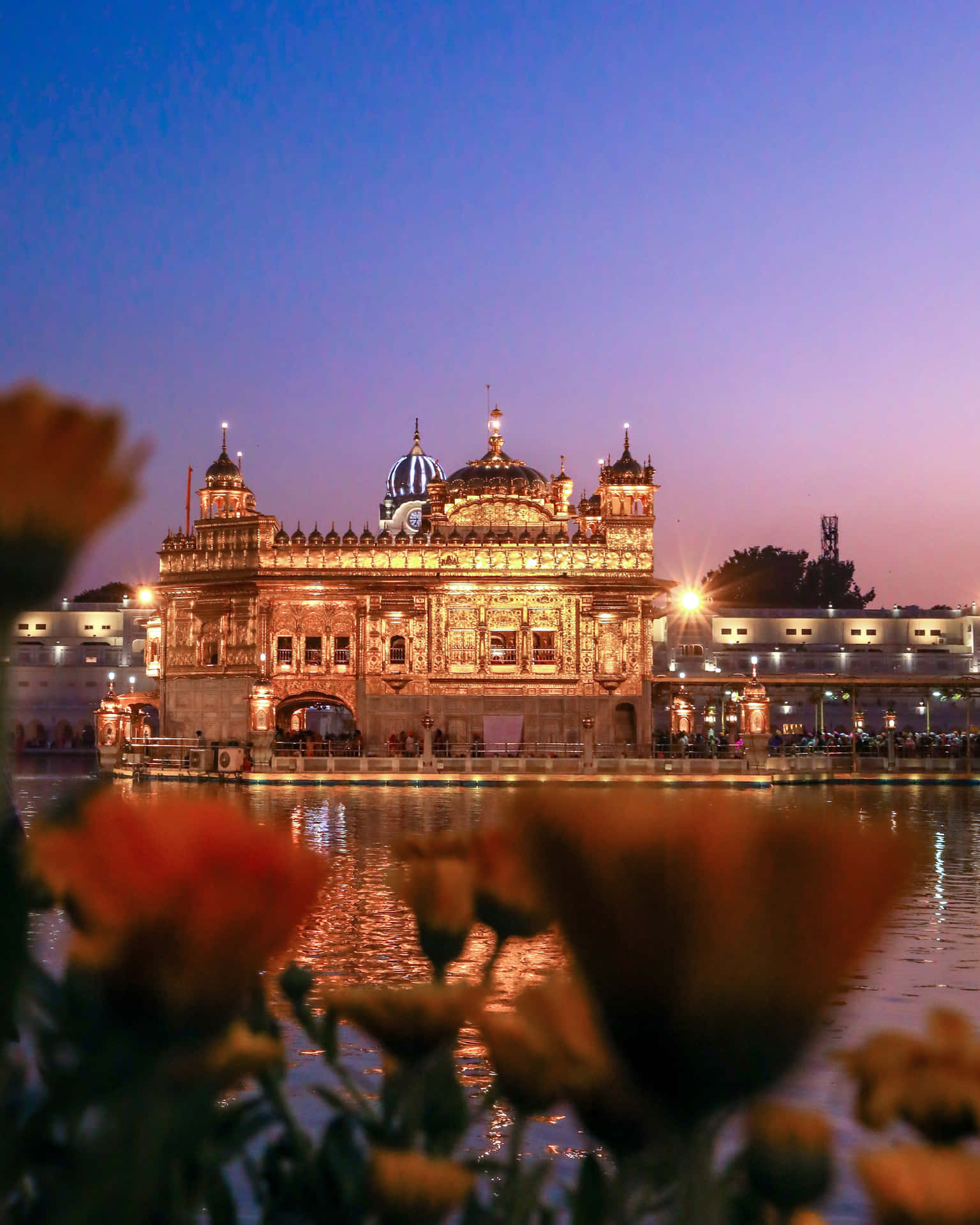 Golden Temple Behind Flowers