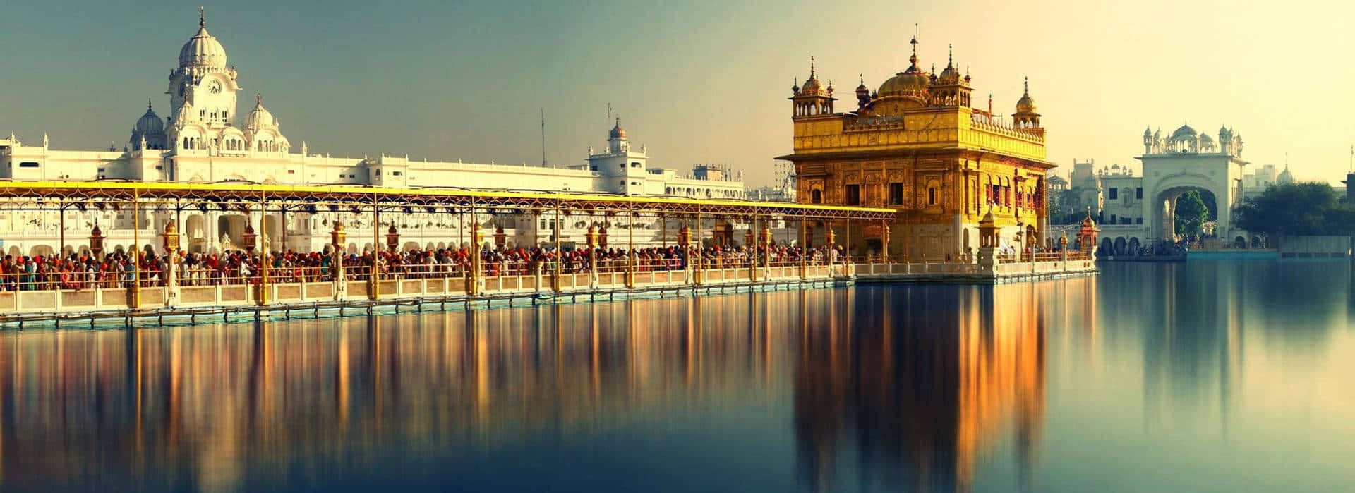 Golden Temple Wide-shot Background