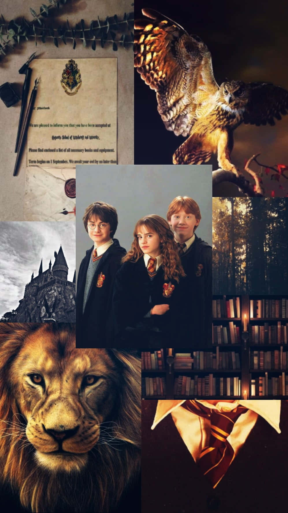 Golden Trio Compilation Icons Phone Background