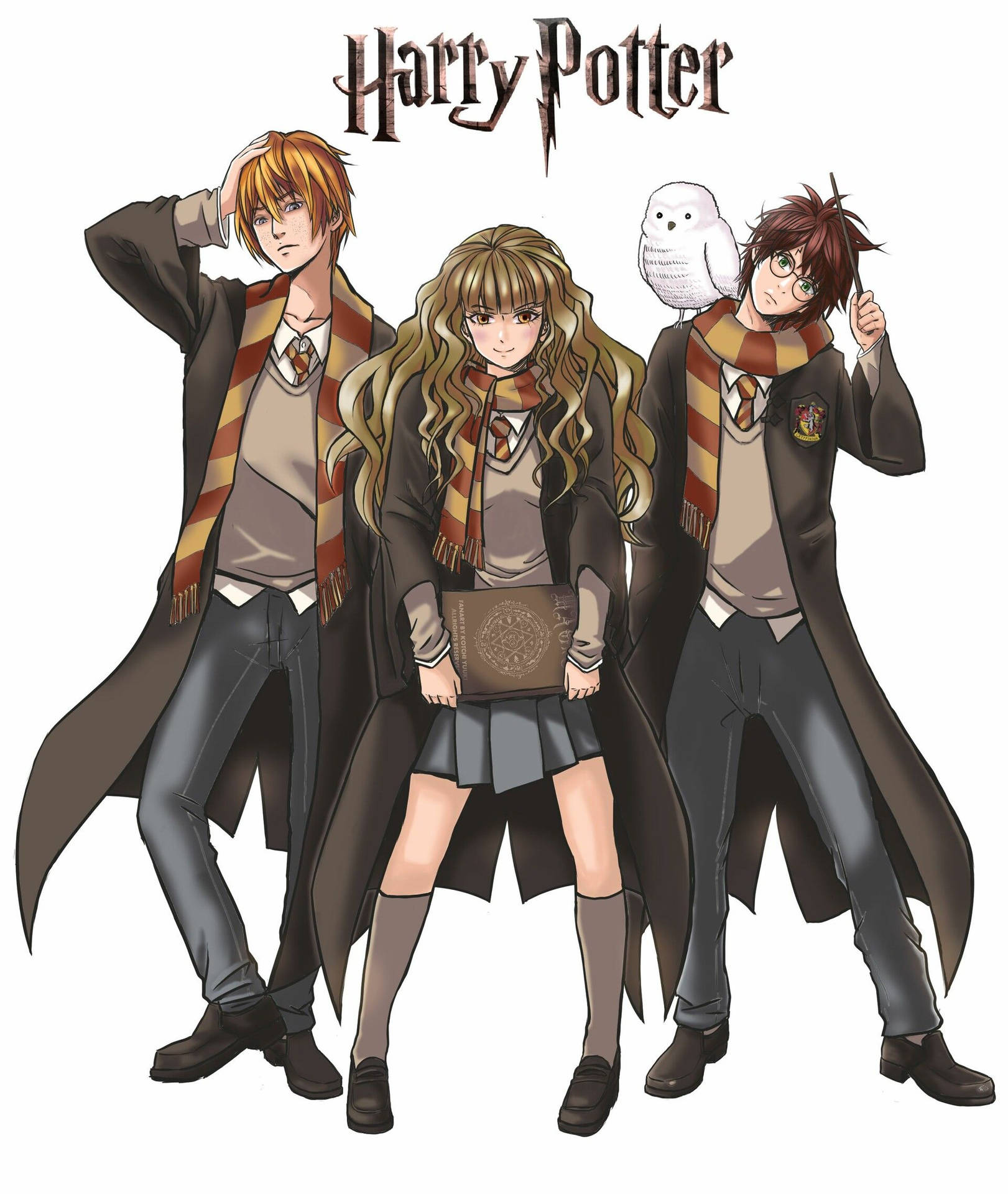 Golden Trio Harry Potter Anime