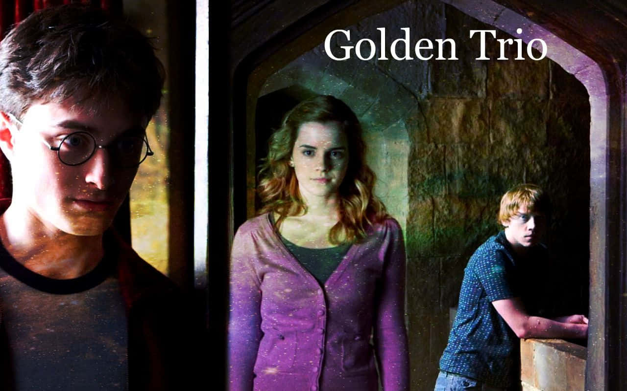 Golden Trio In Hogwarts