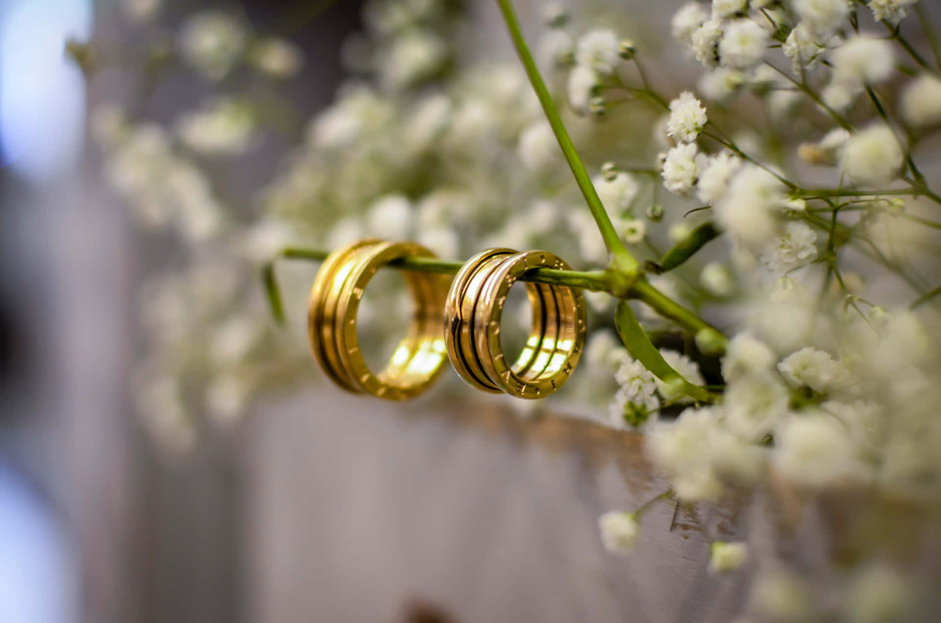 Golden Wedding Ring On Stem Background