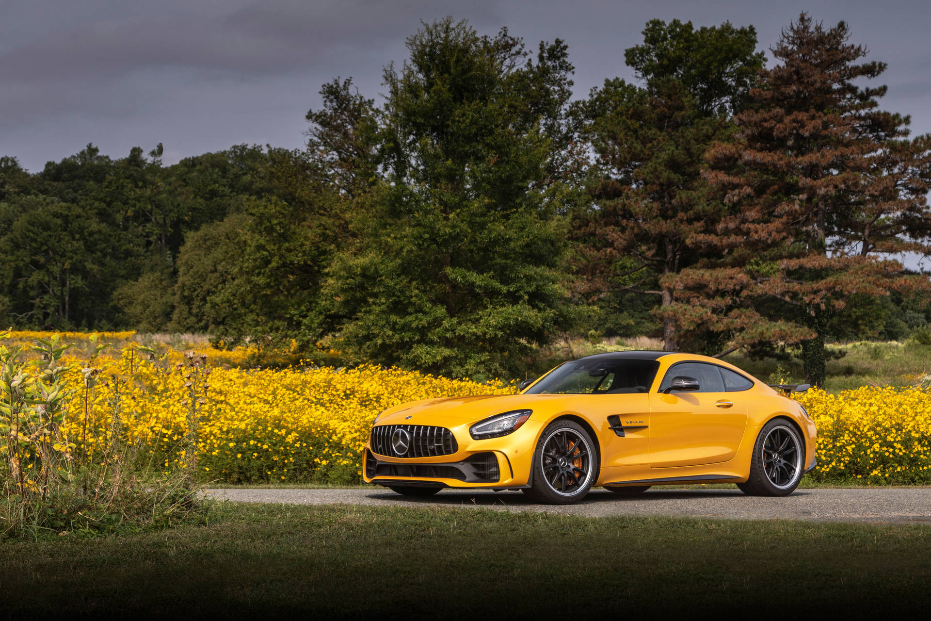 Golden Yellow Amg Gt R Background