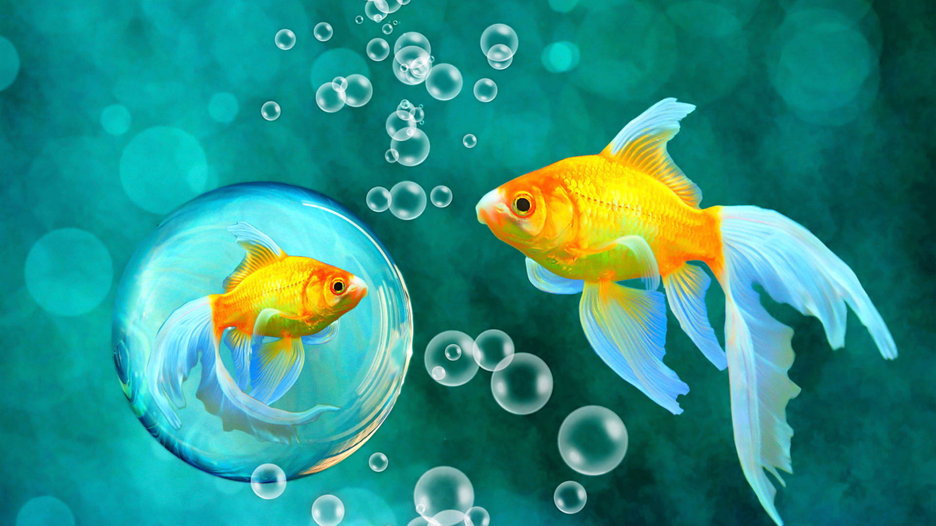 Goldfish Bubble Art Background