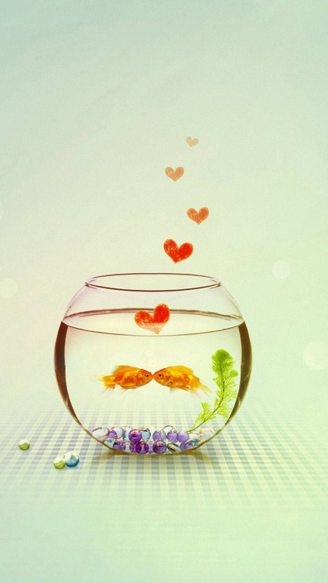 Goldfish Lovers In Bowl Background