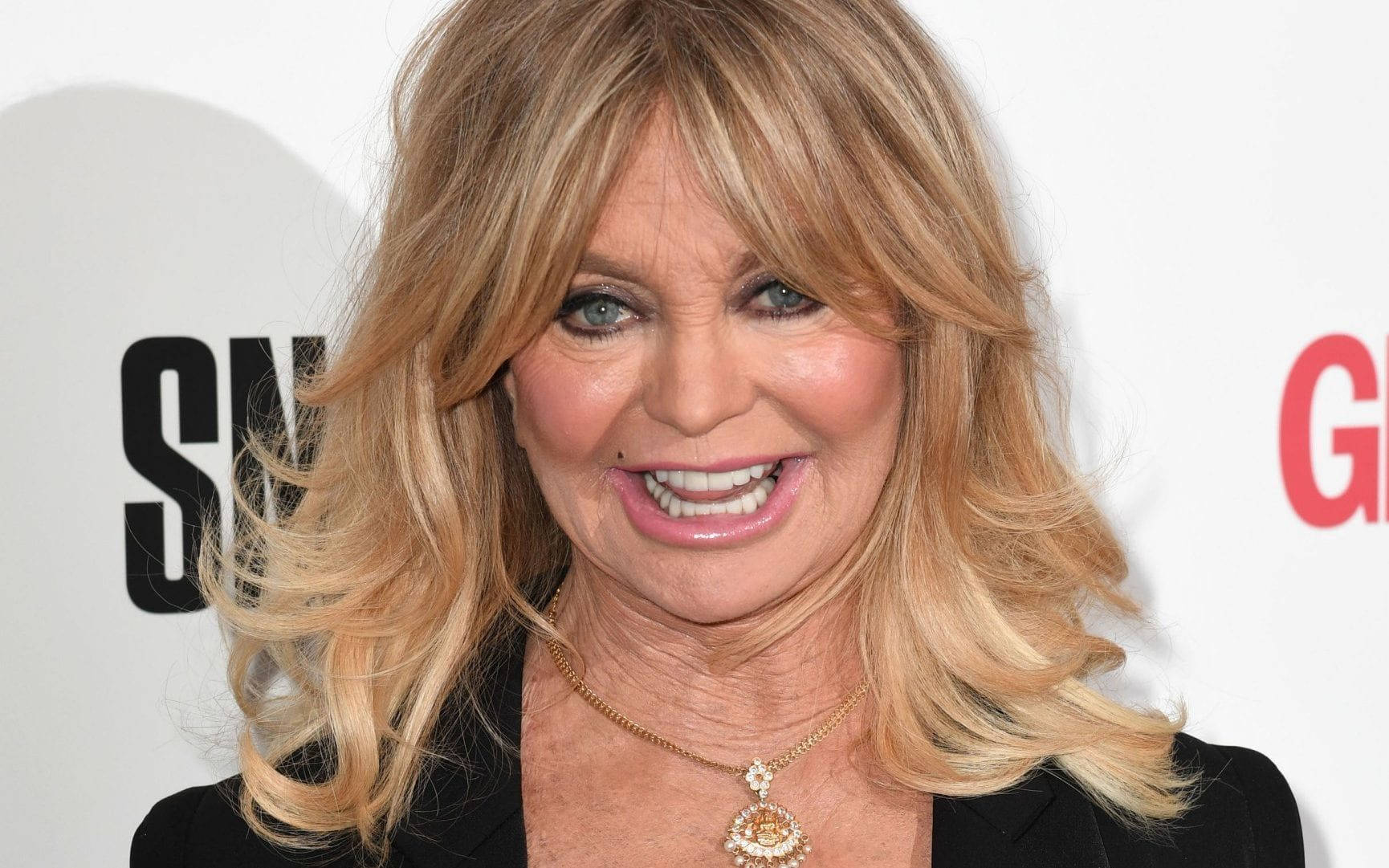 Goldie Hawn Actress And Producer Background