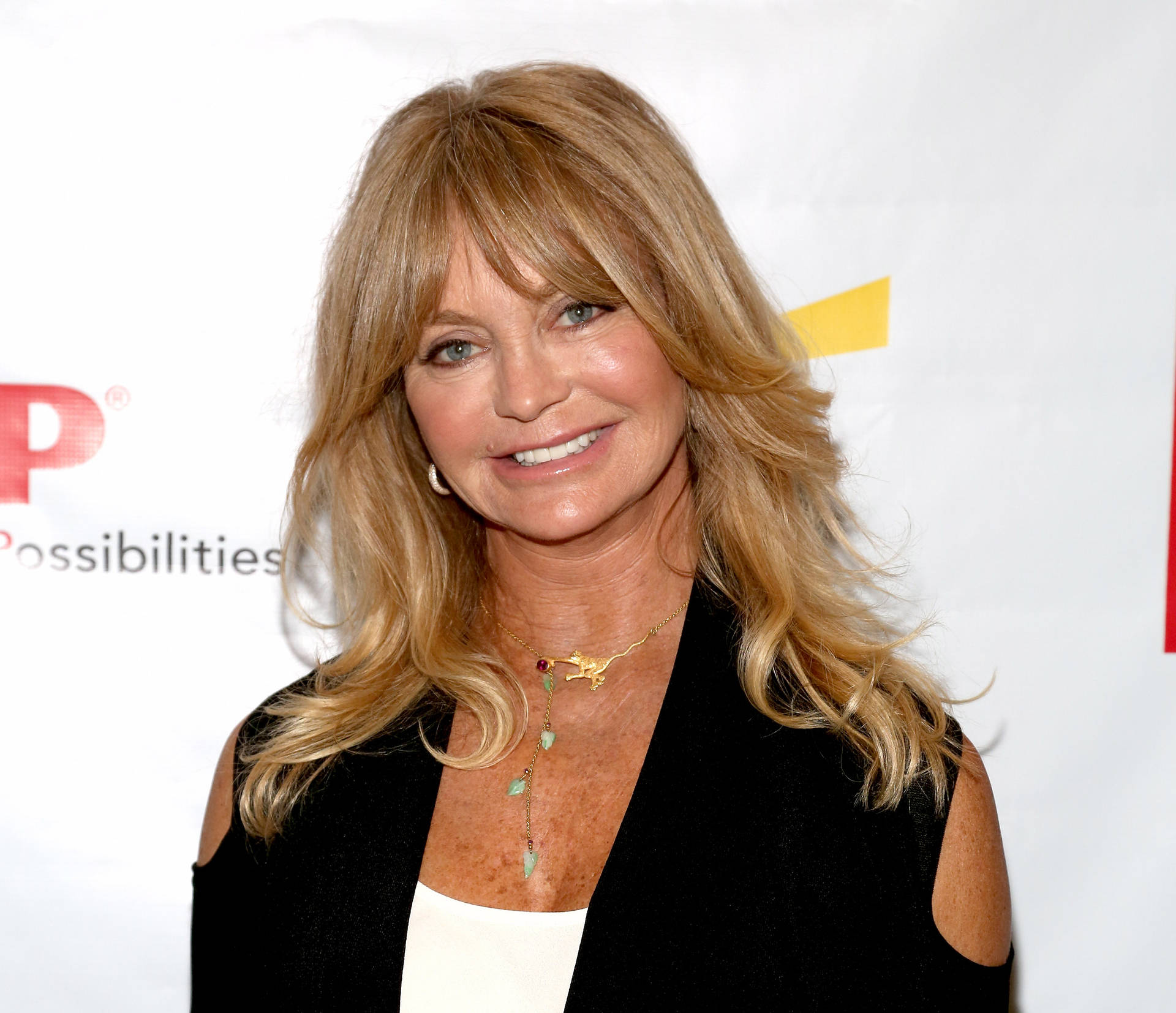 Goldie Hawn Celebrity Actress Background