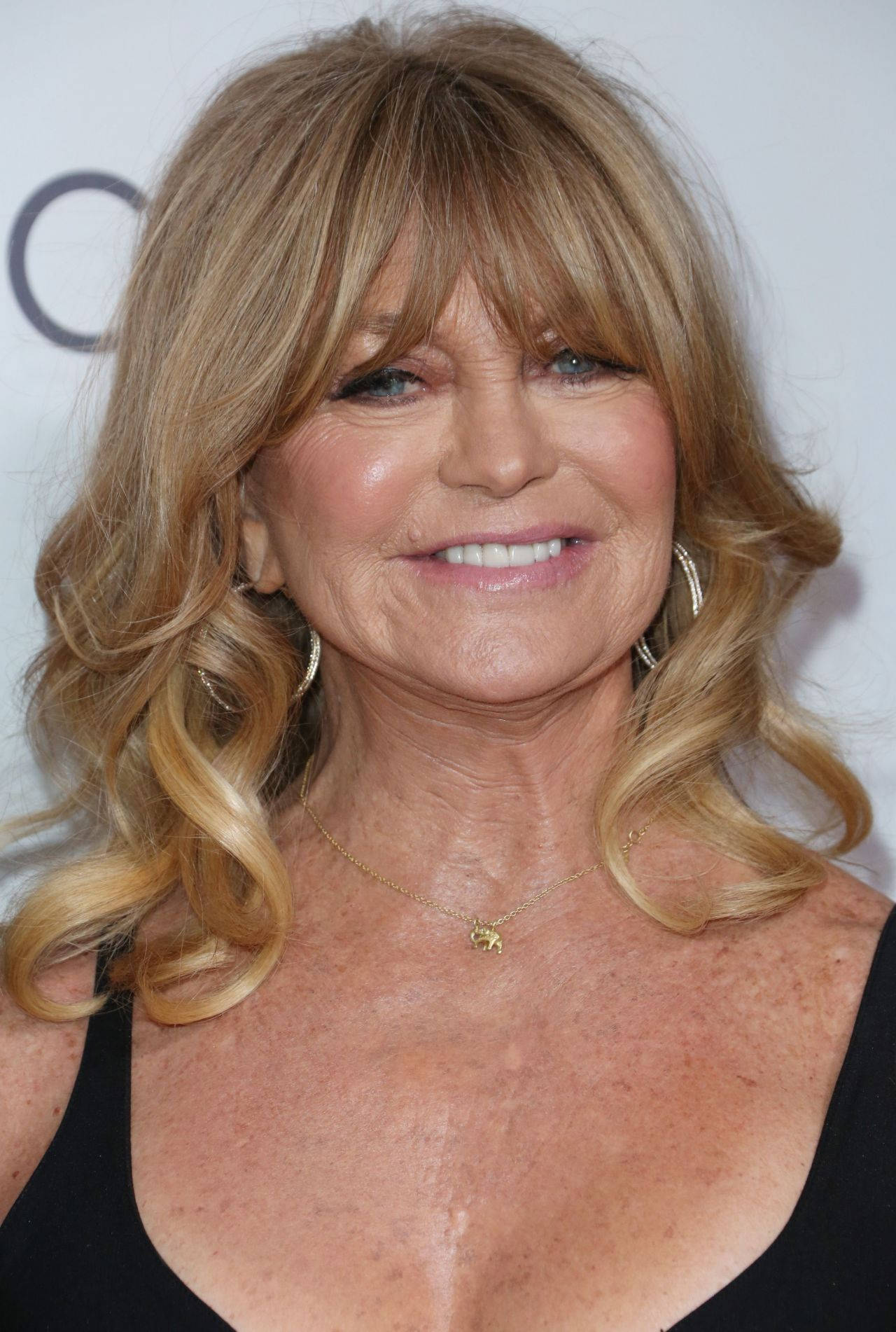 Goldie Hawn Producer And Actress