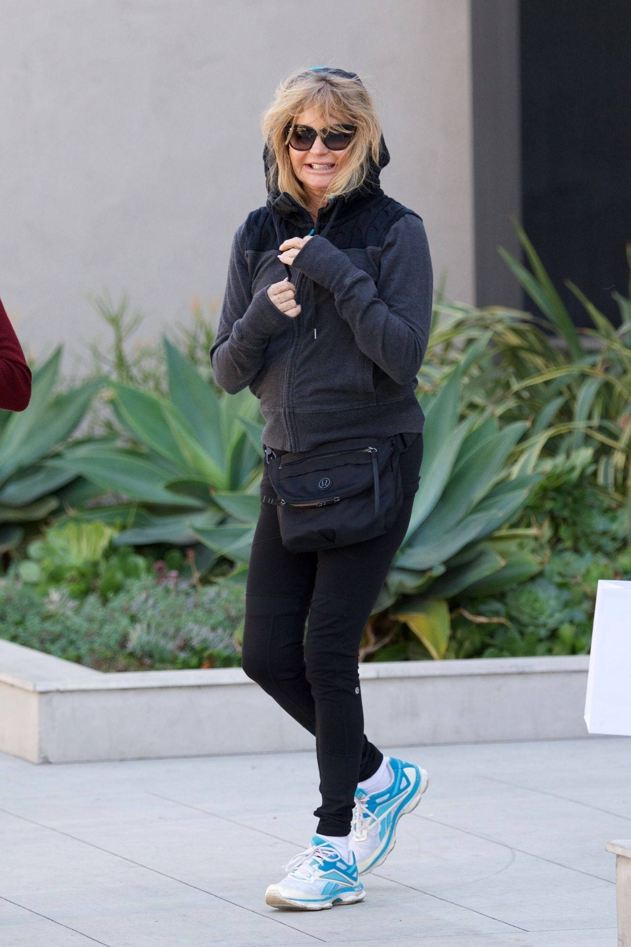 Goldie Hawn Producer Paparazzi Background