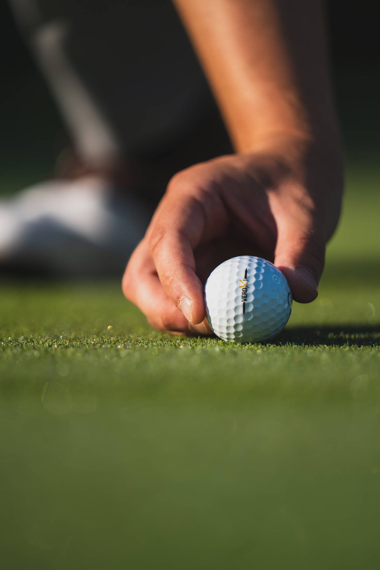 Golf, Ball, Hand, Fingers, Grass, Sport Background