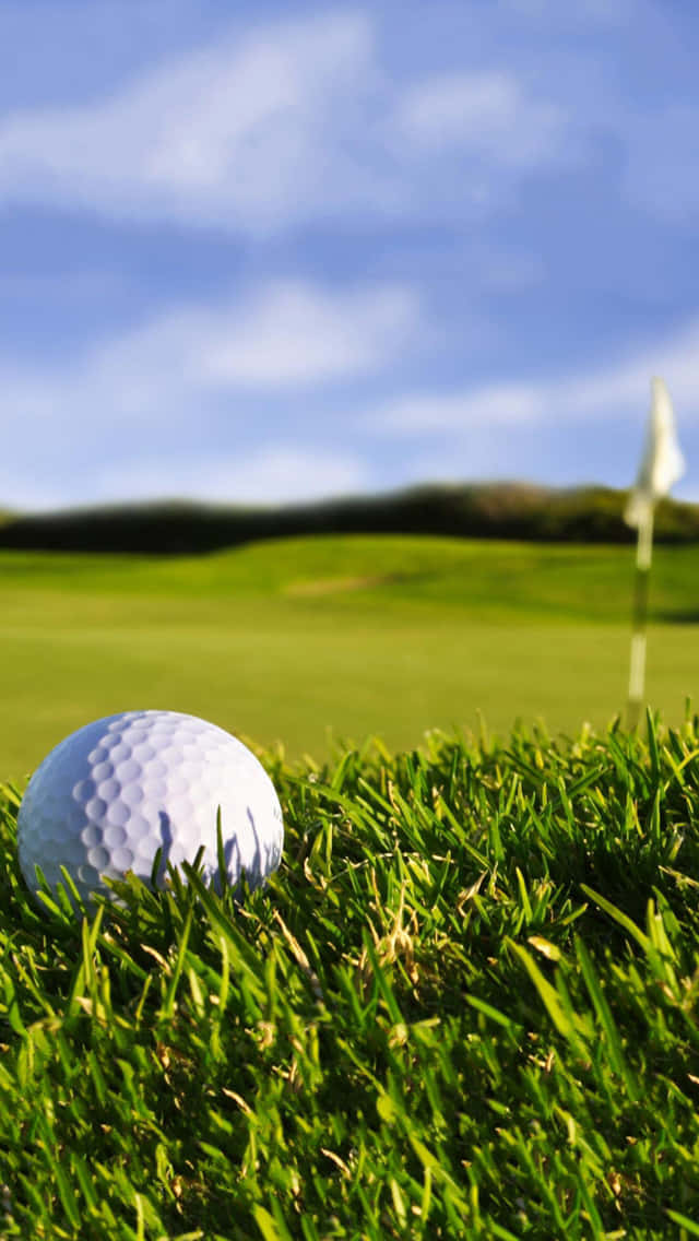 Golf Ball On The Green Background