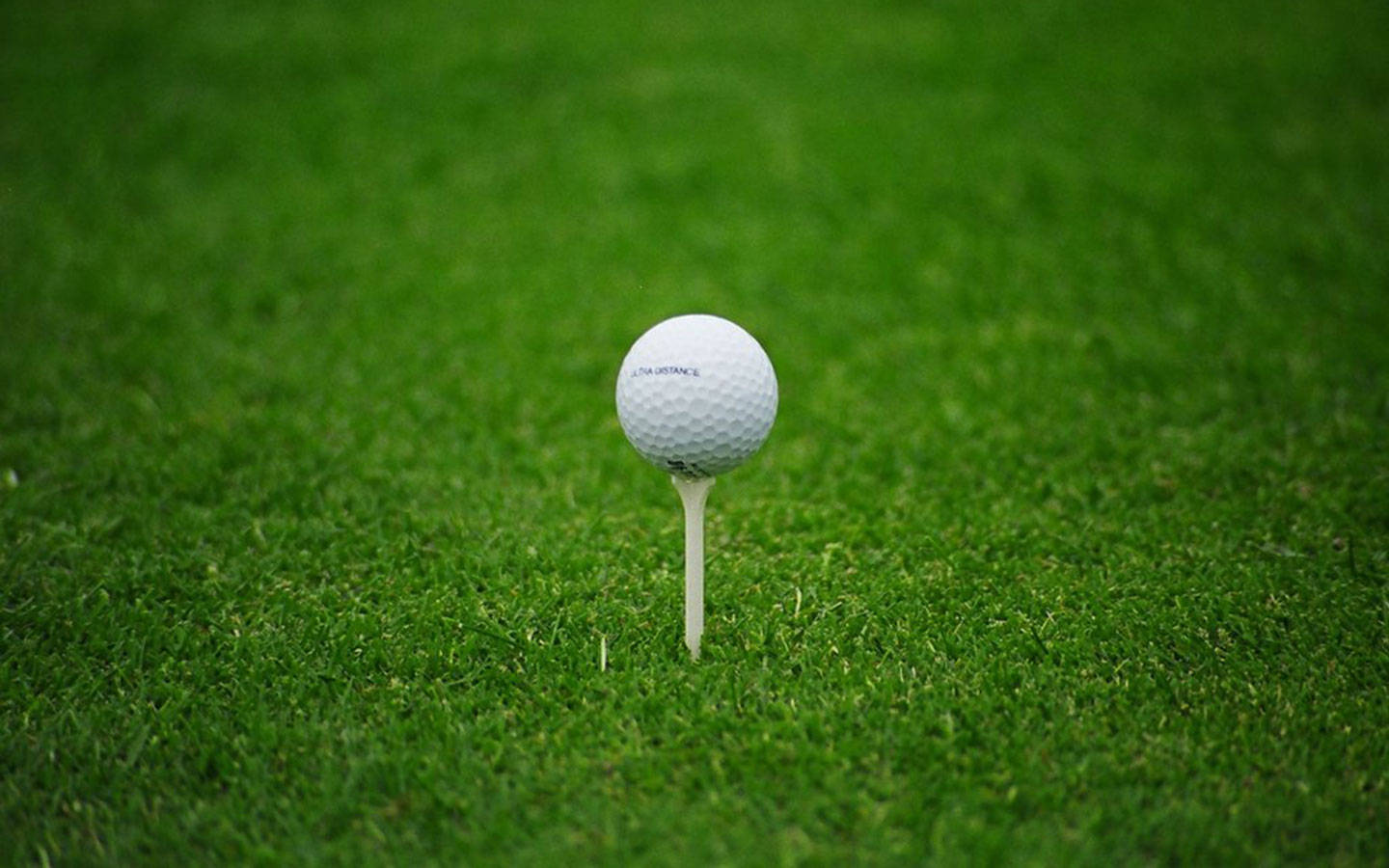 Golf Ball On White Tee On Golf Course Background