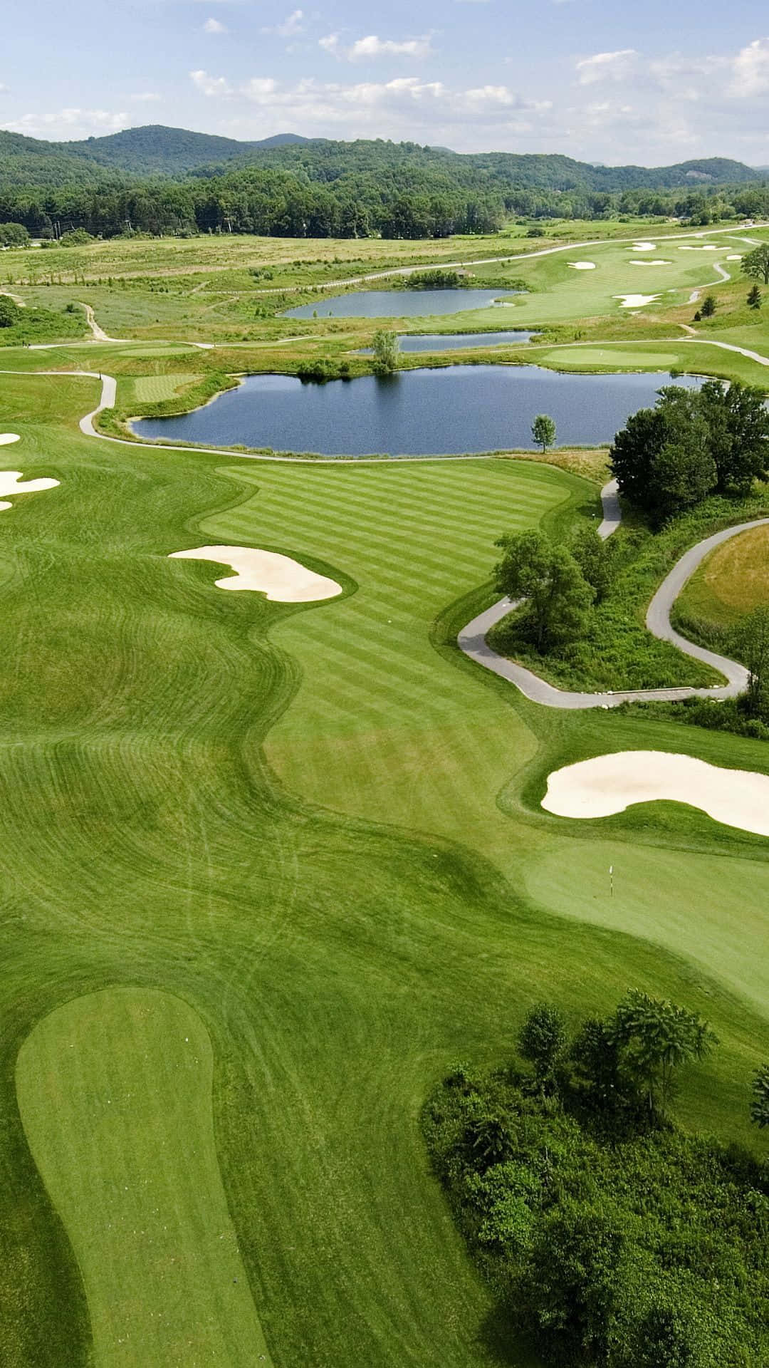 Golf In Sunny Florida Background