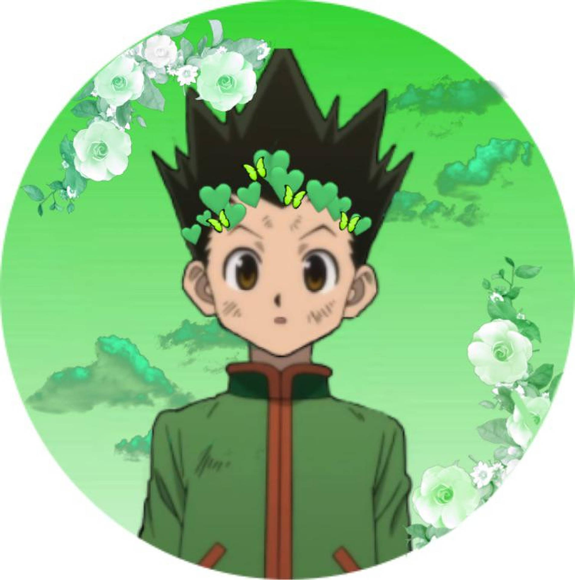 Gon Freecss Anime Pfp Background