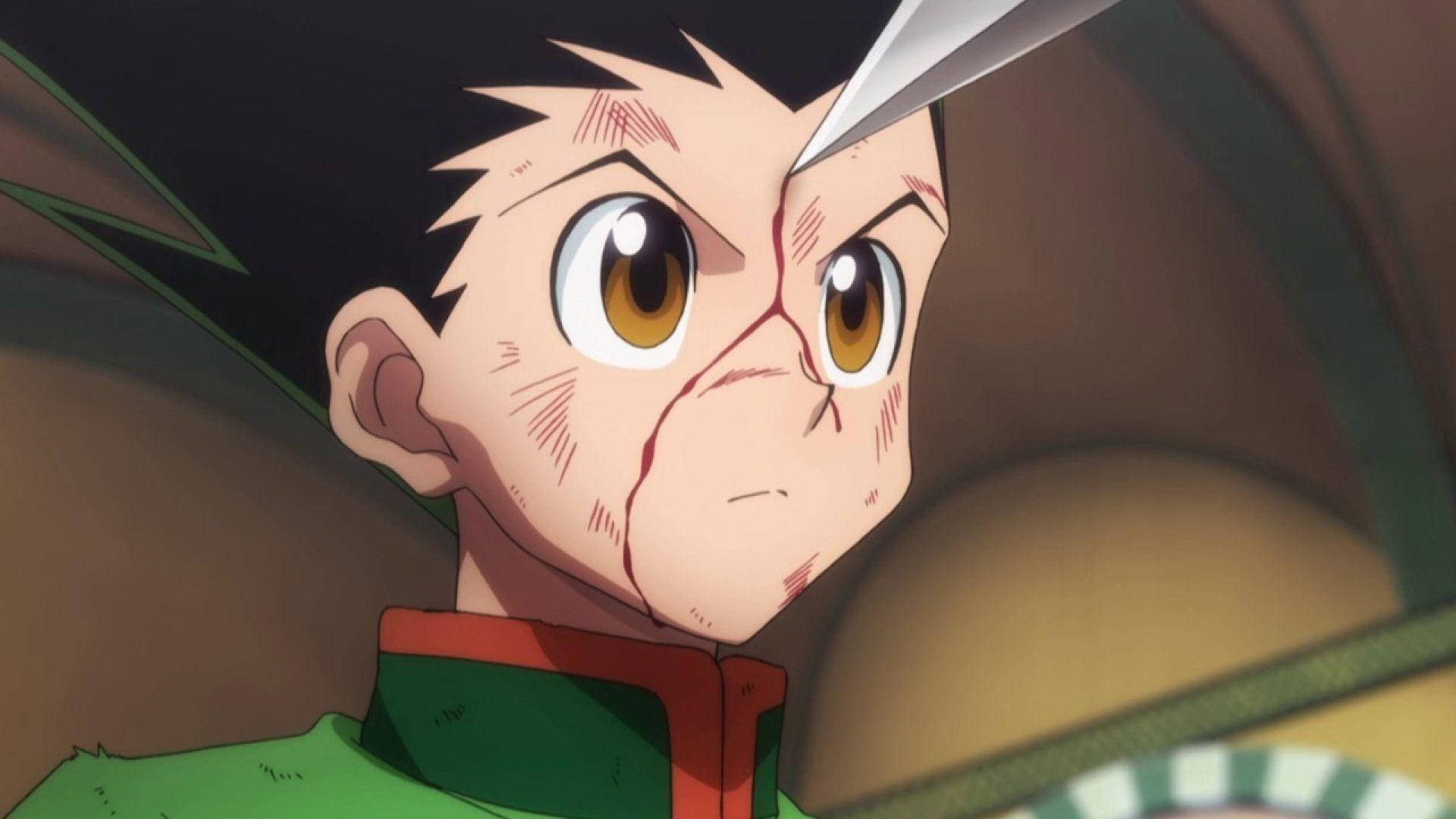 Gon Freecss Bloody Face