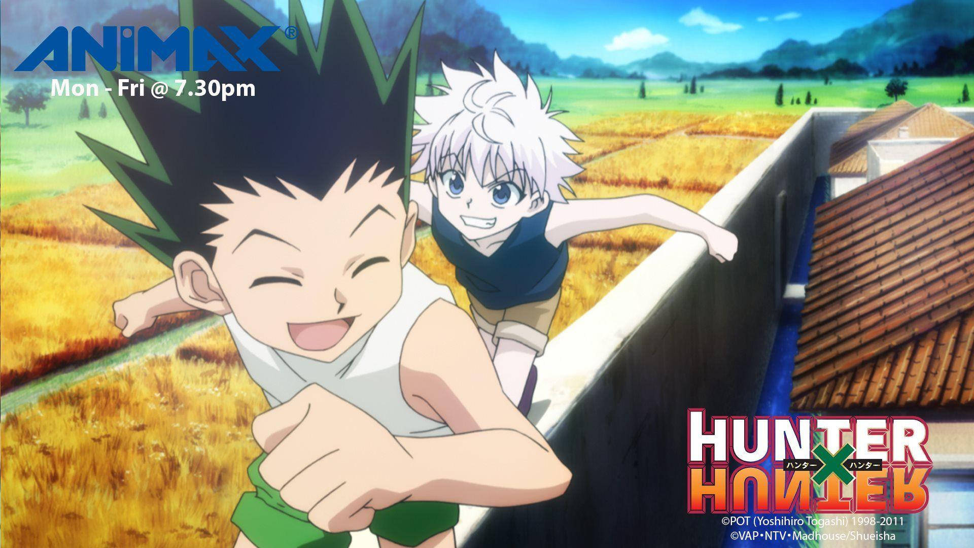 Gon Freecss Killua Animax Promo