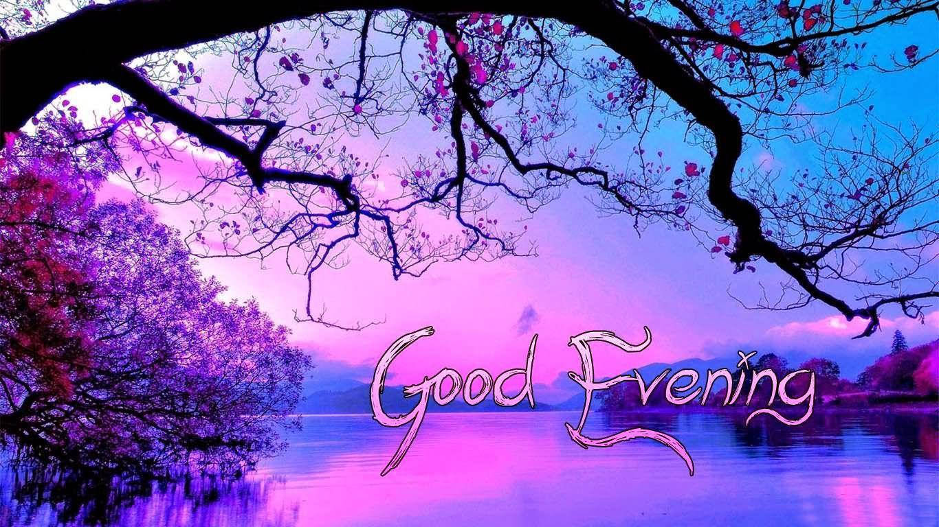 Good Evening Purple Background